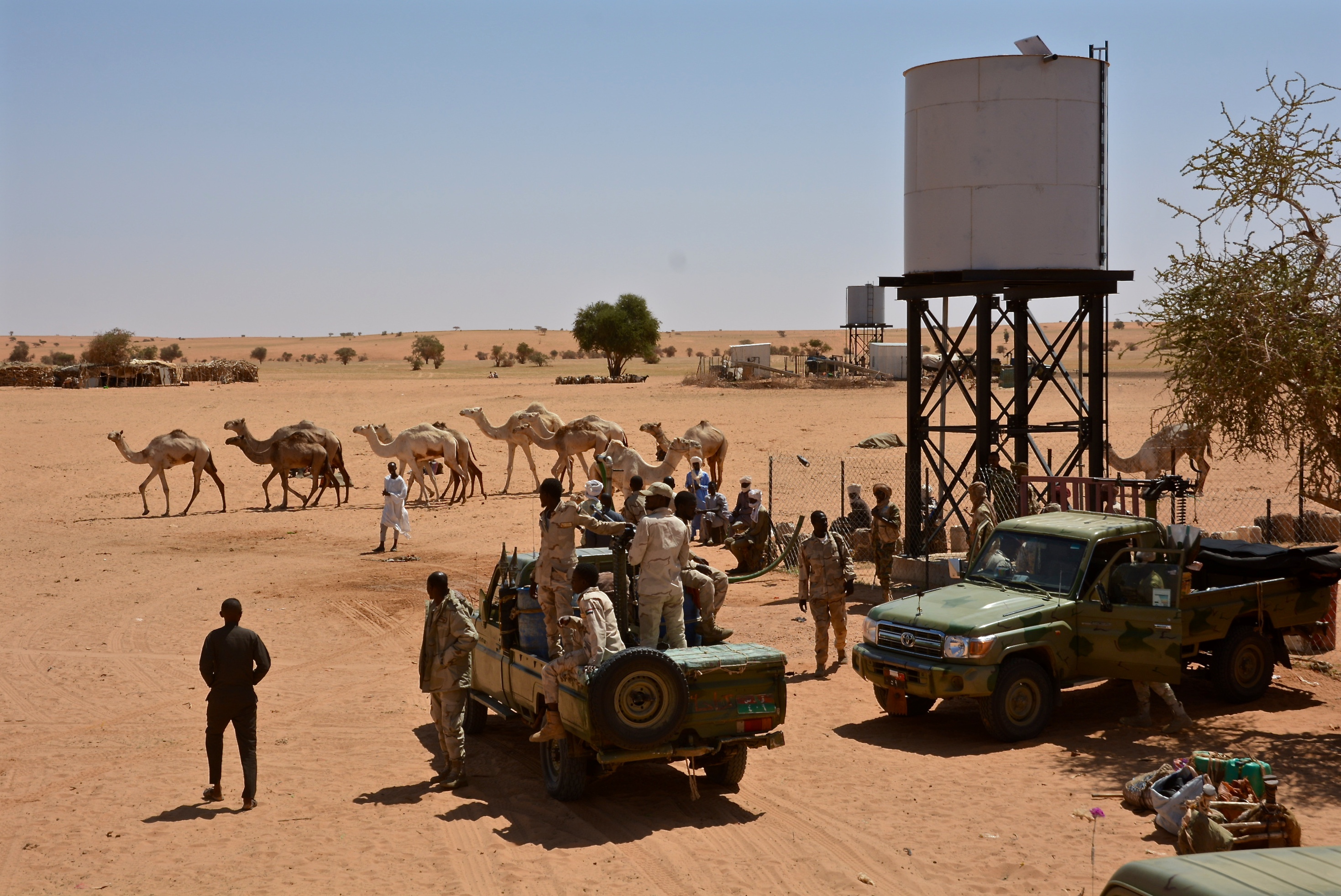 RSF Darfur