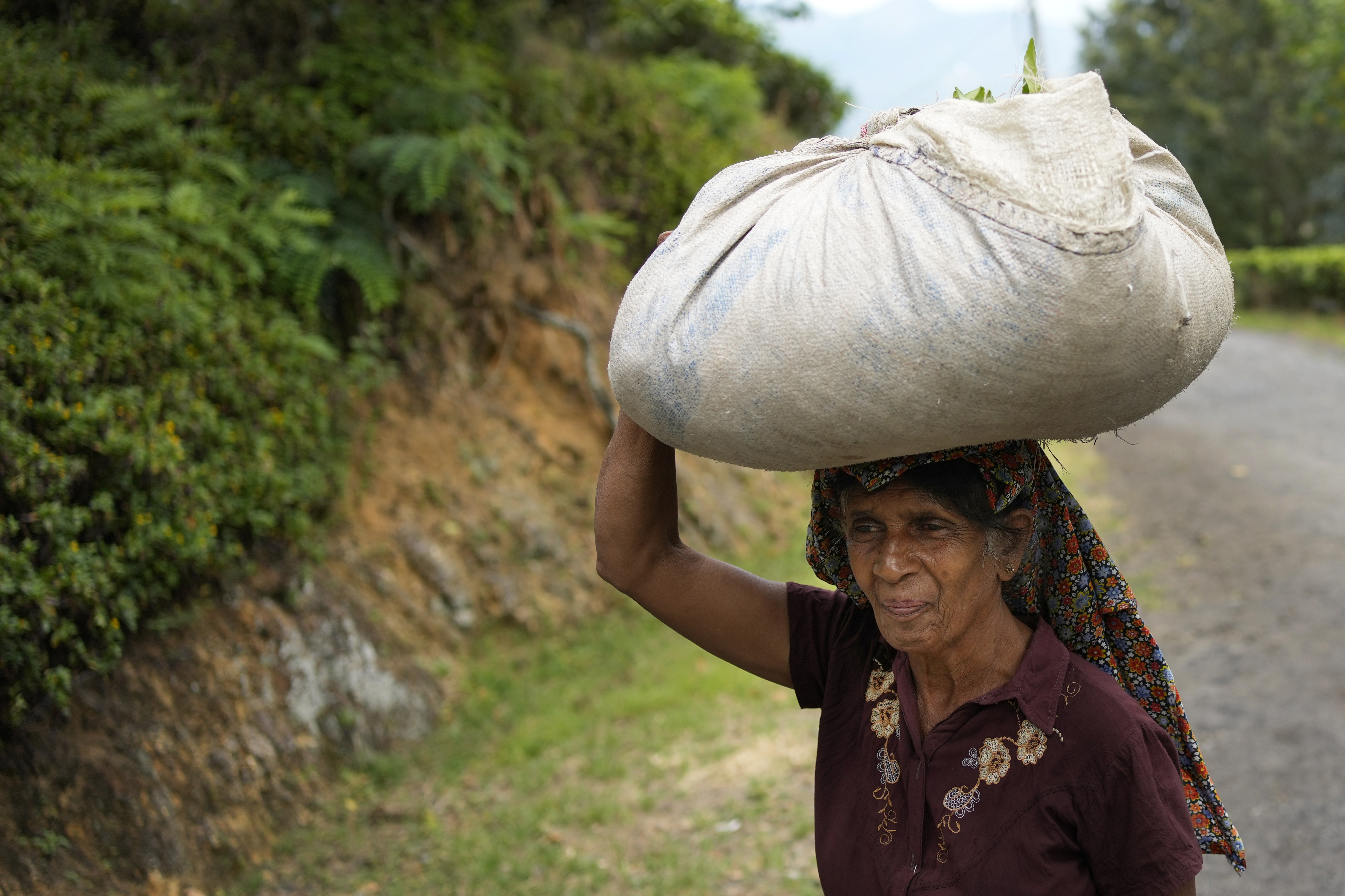 Sri Lanka Election Plantation Workers