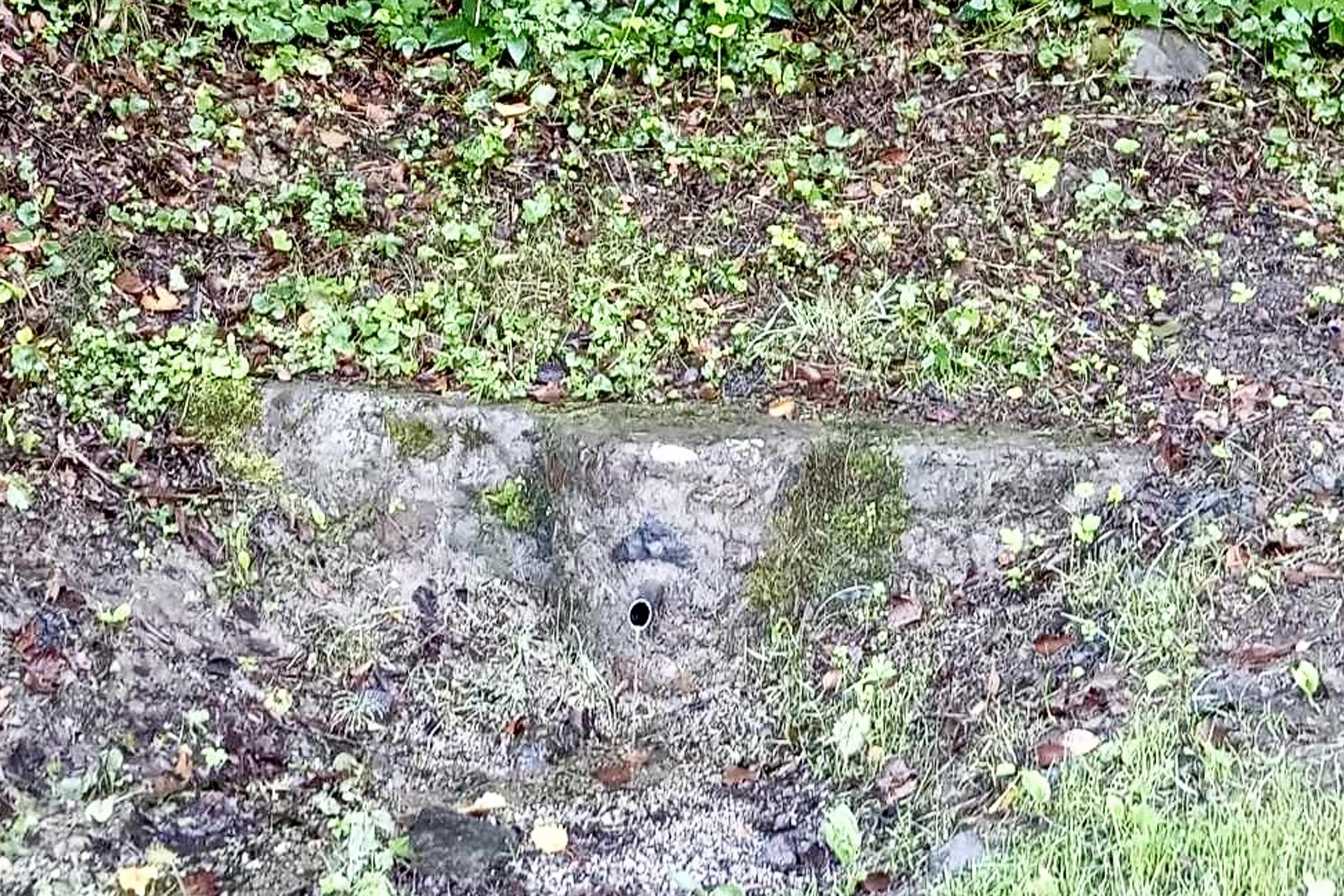 A photo of a water fountain in a rock