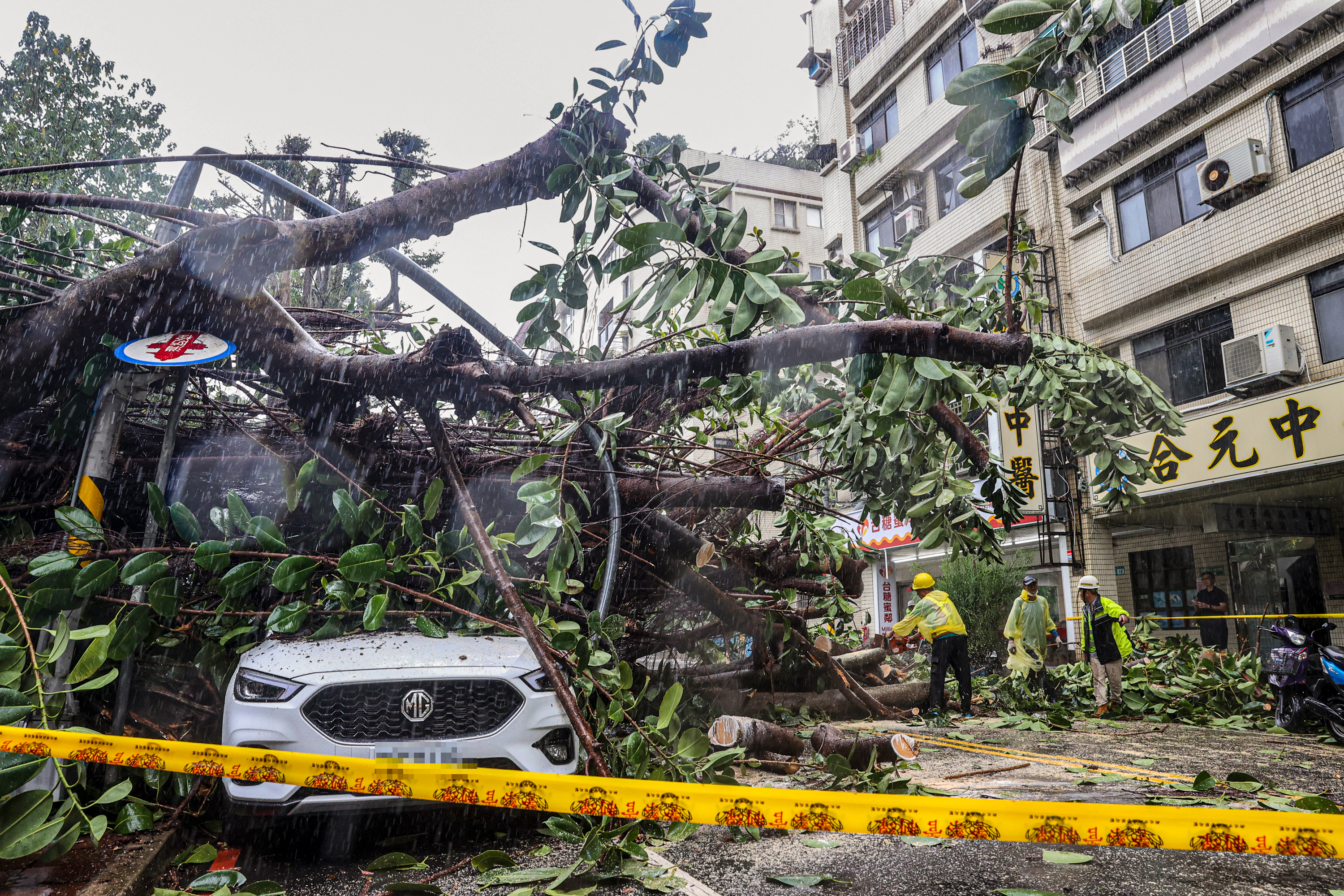 A car under an uprooted tree.
