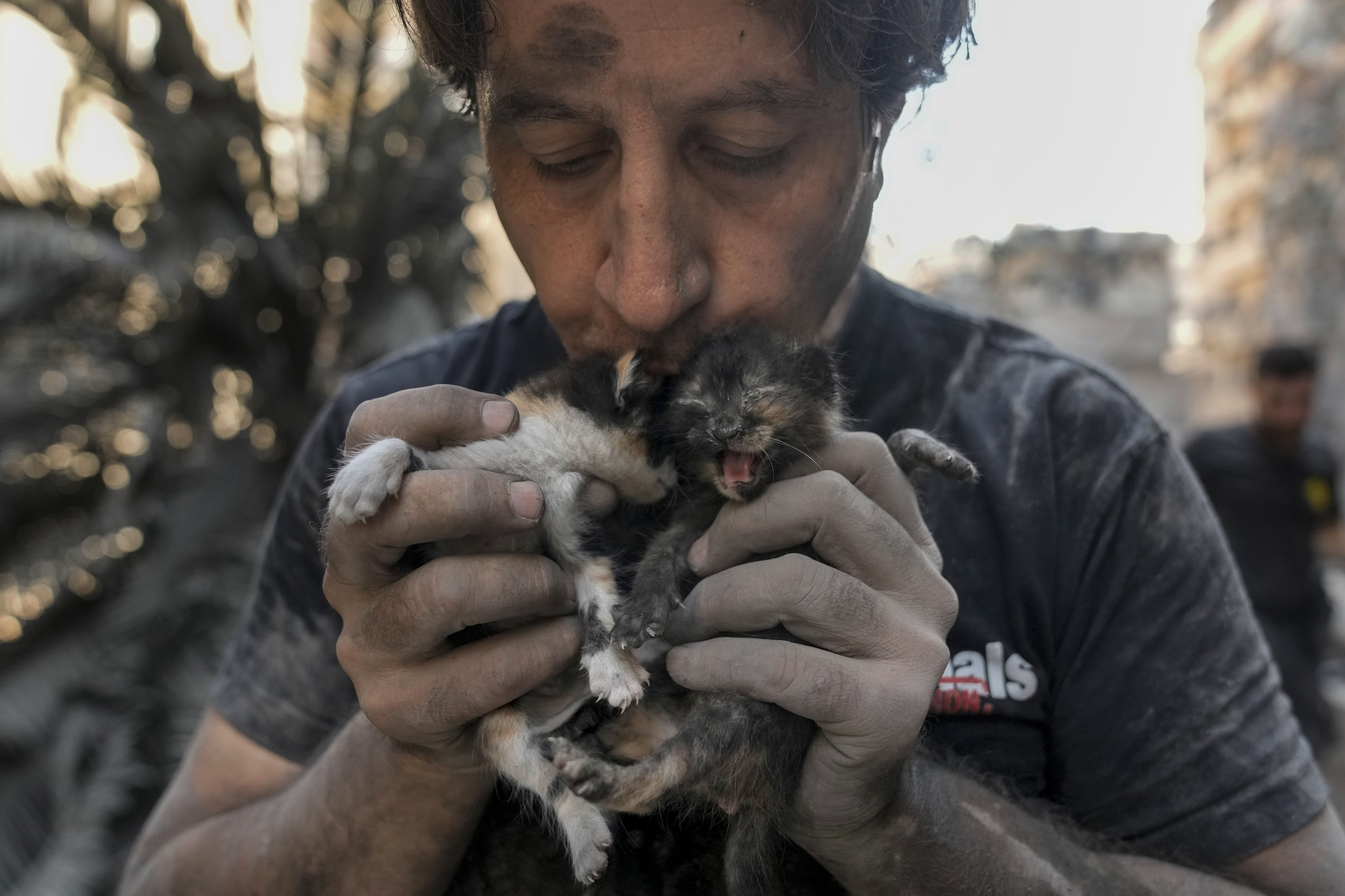 Kamal Khatib, a volunteer with the Animals Lebanon rescue group, kisses kittens after rescuing them from debris of destroyed buildings at the site of Thursday's Israeli airstrike, in Beirut, Lebanon, Friday, Oct. 11