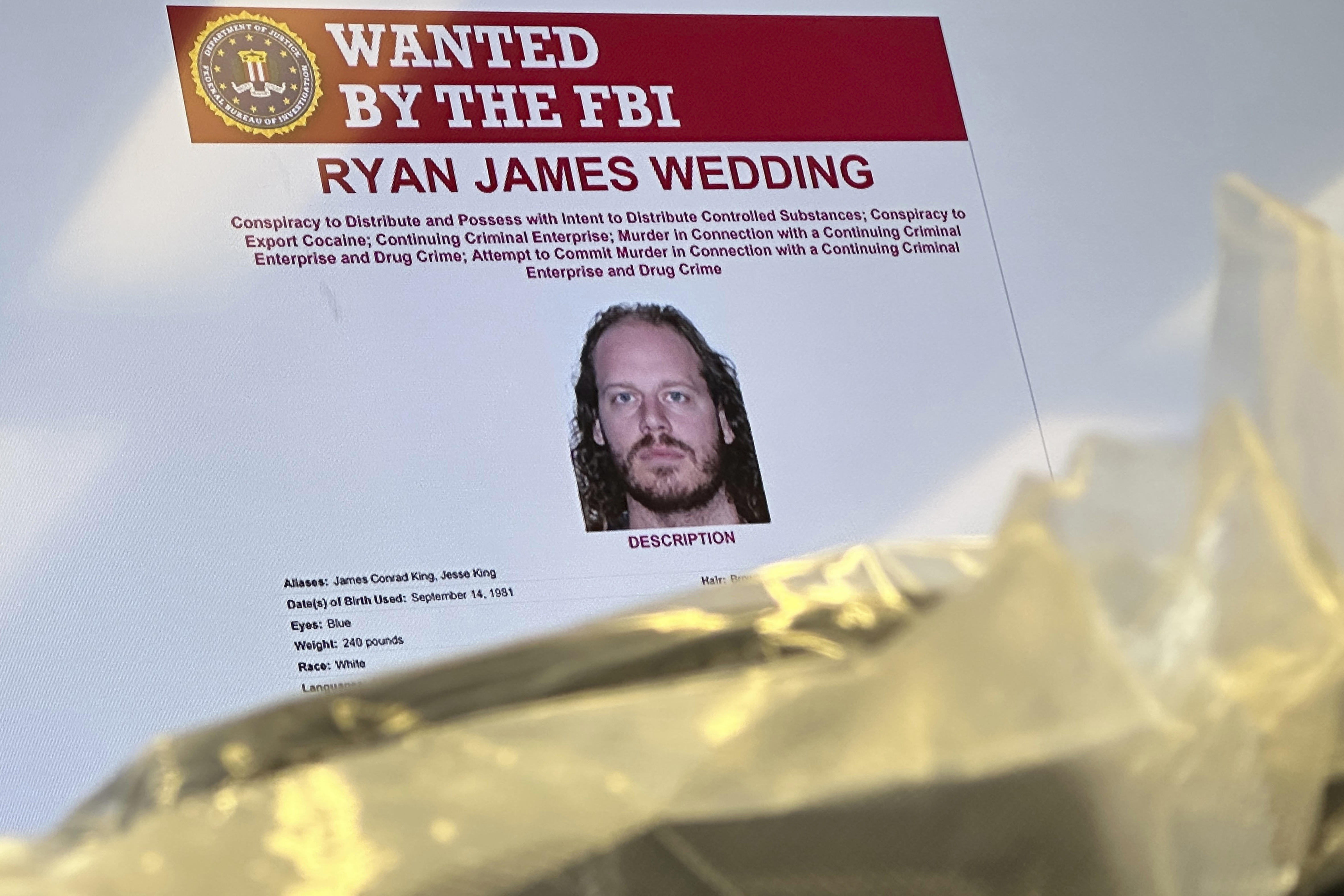 Ryan Wedding indictment