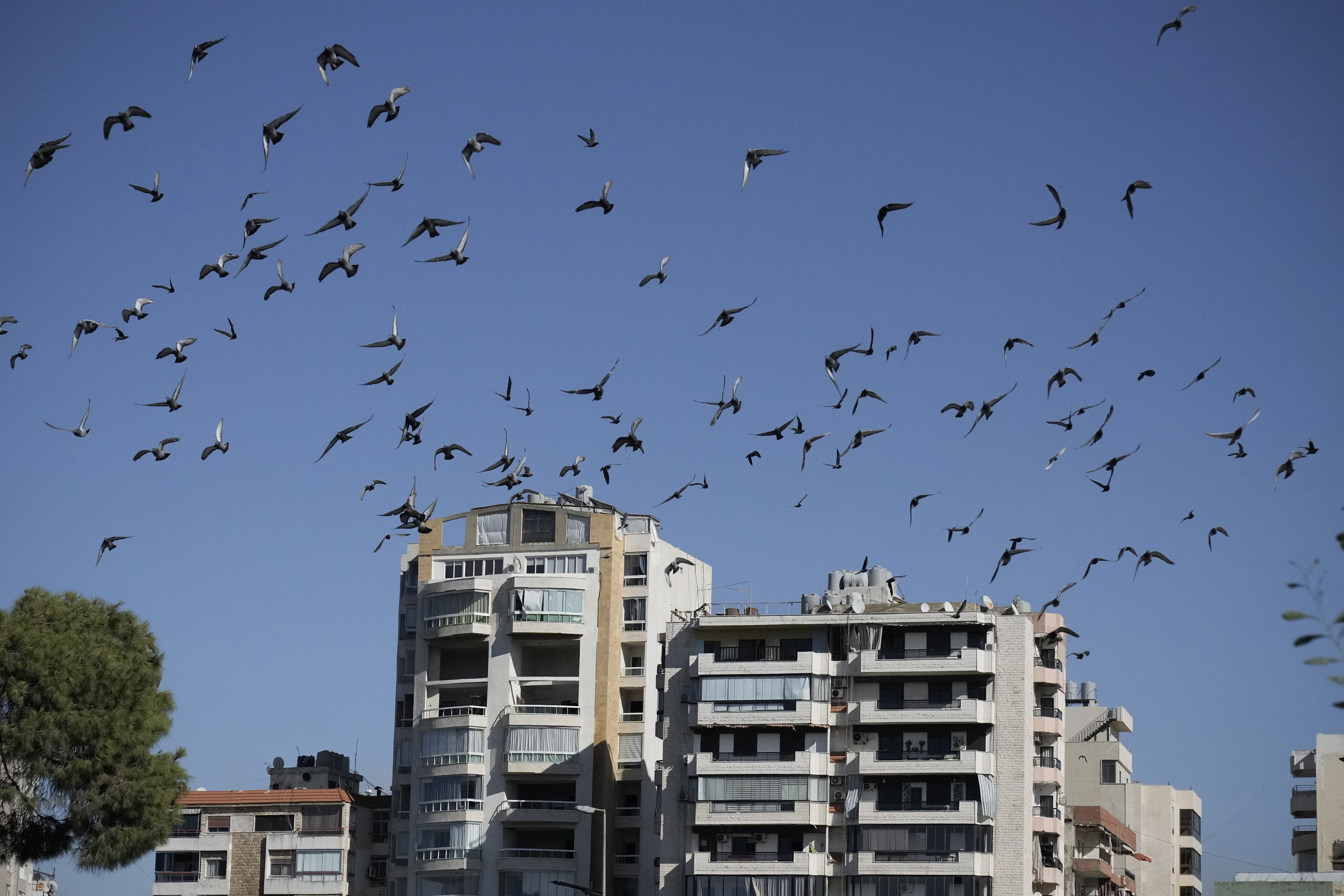 Images capture exact moments an Israeli missile strikes building in Beirut