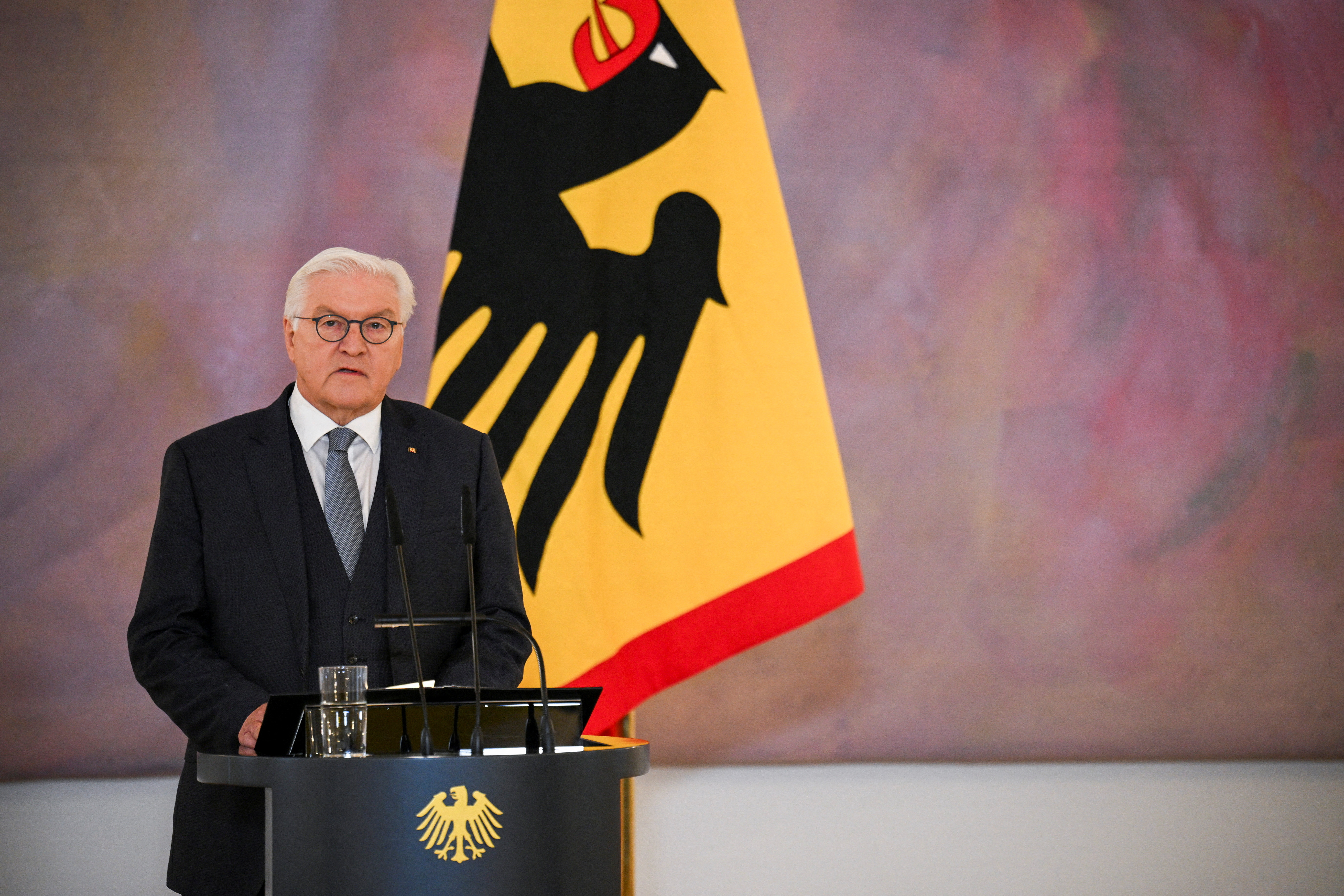 German President Frank-Walter Steinmeier