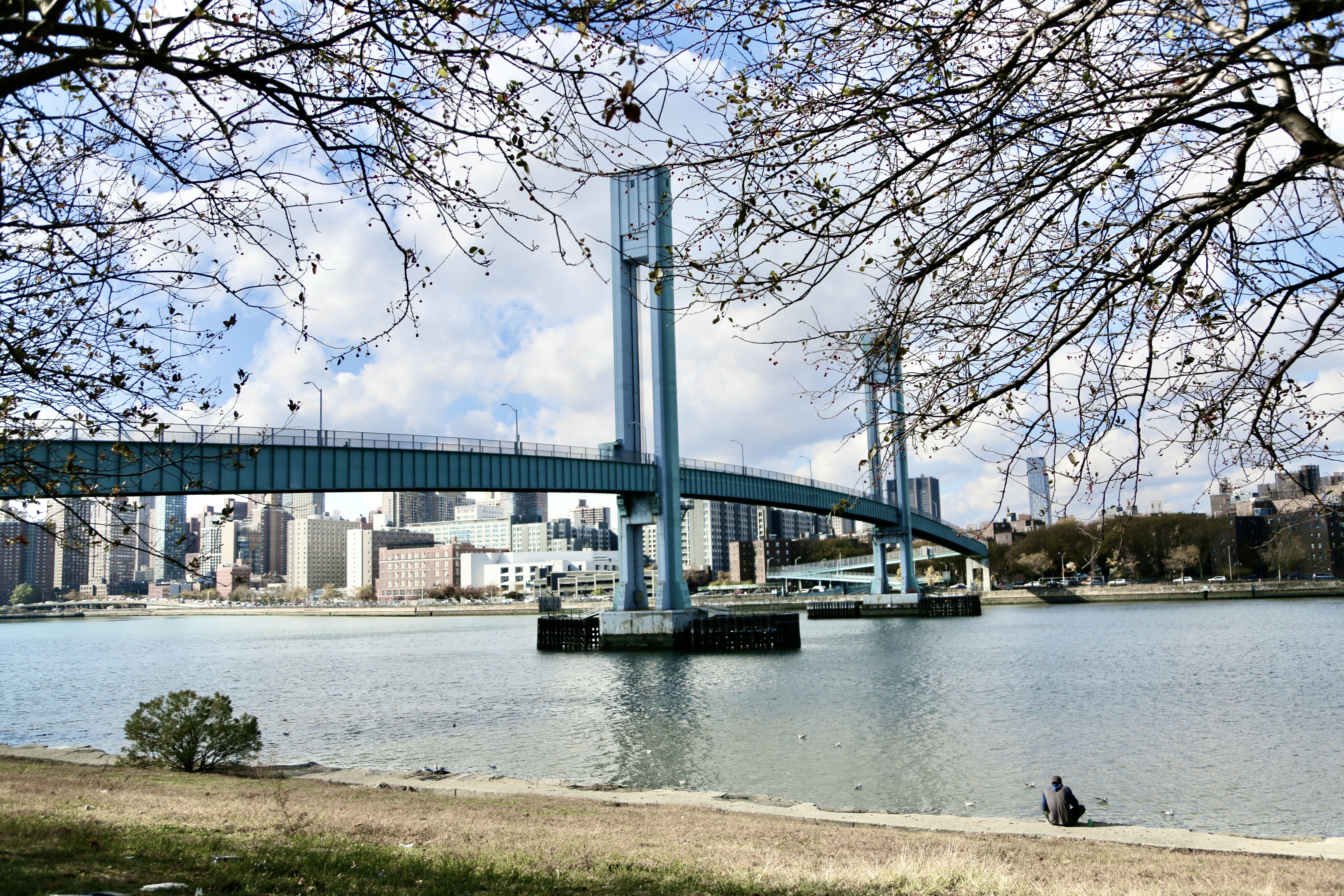 A man sits on the river bank of Randall's Island Humanitarian Emergency Response and Relief Center.