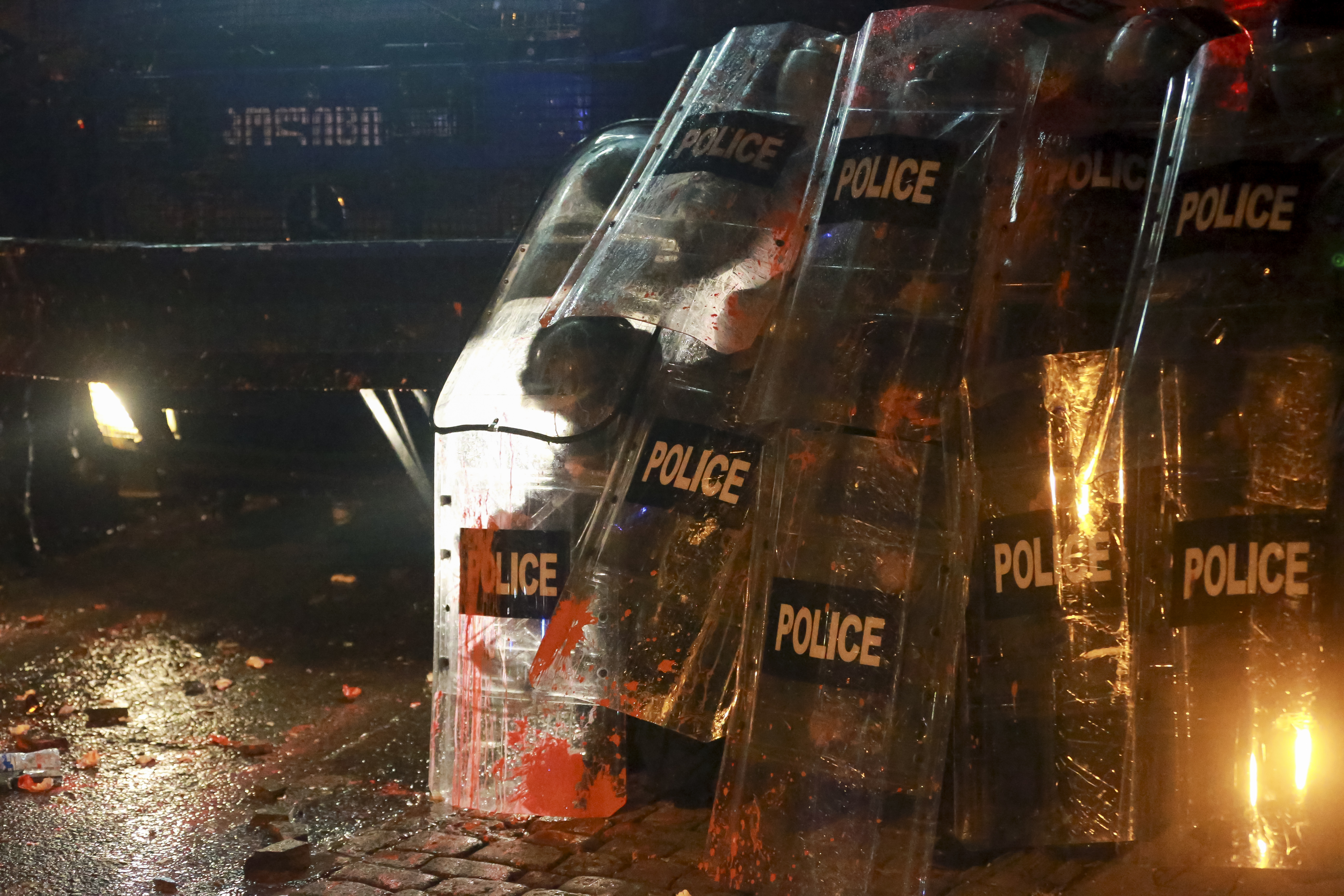 Tens of thousands of pro-EU protesters rally in Georgia