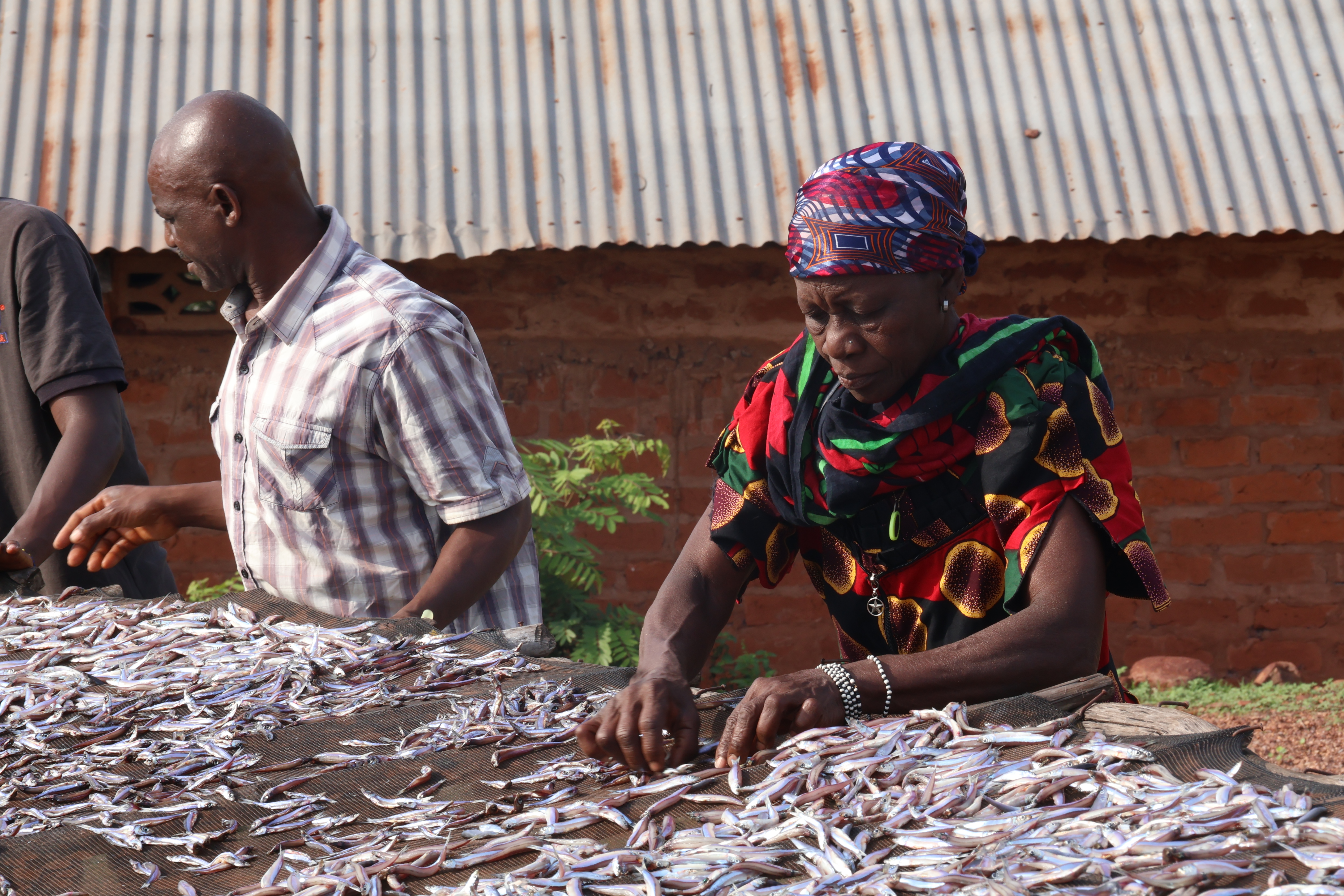 Lake Tanganyika