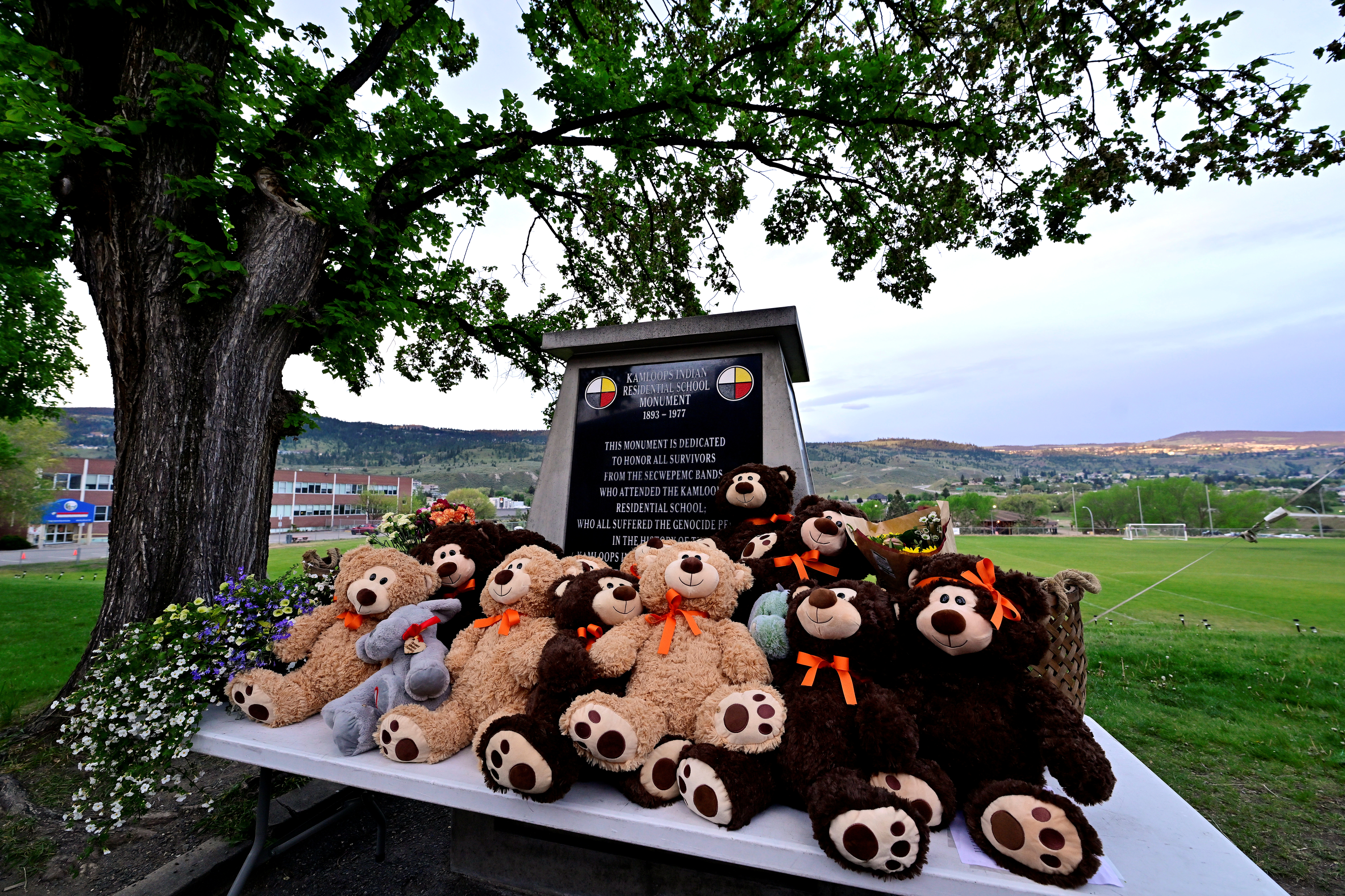 Teddy bears displayed outside Kamloops Indian Residential School in British Columbia, Canada