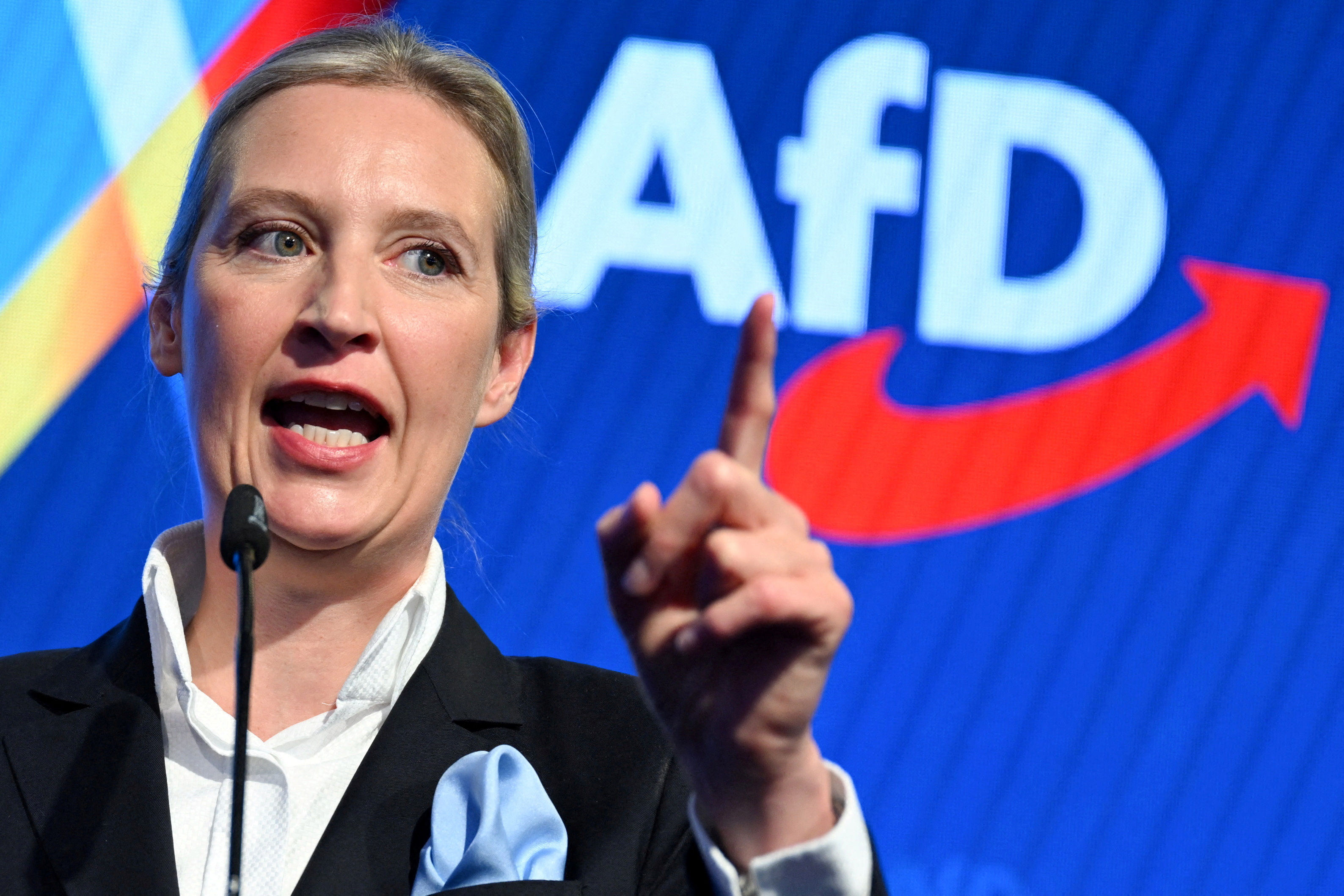 Alternative for Germany (AfD) party co-leader Alice Weidel 