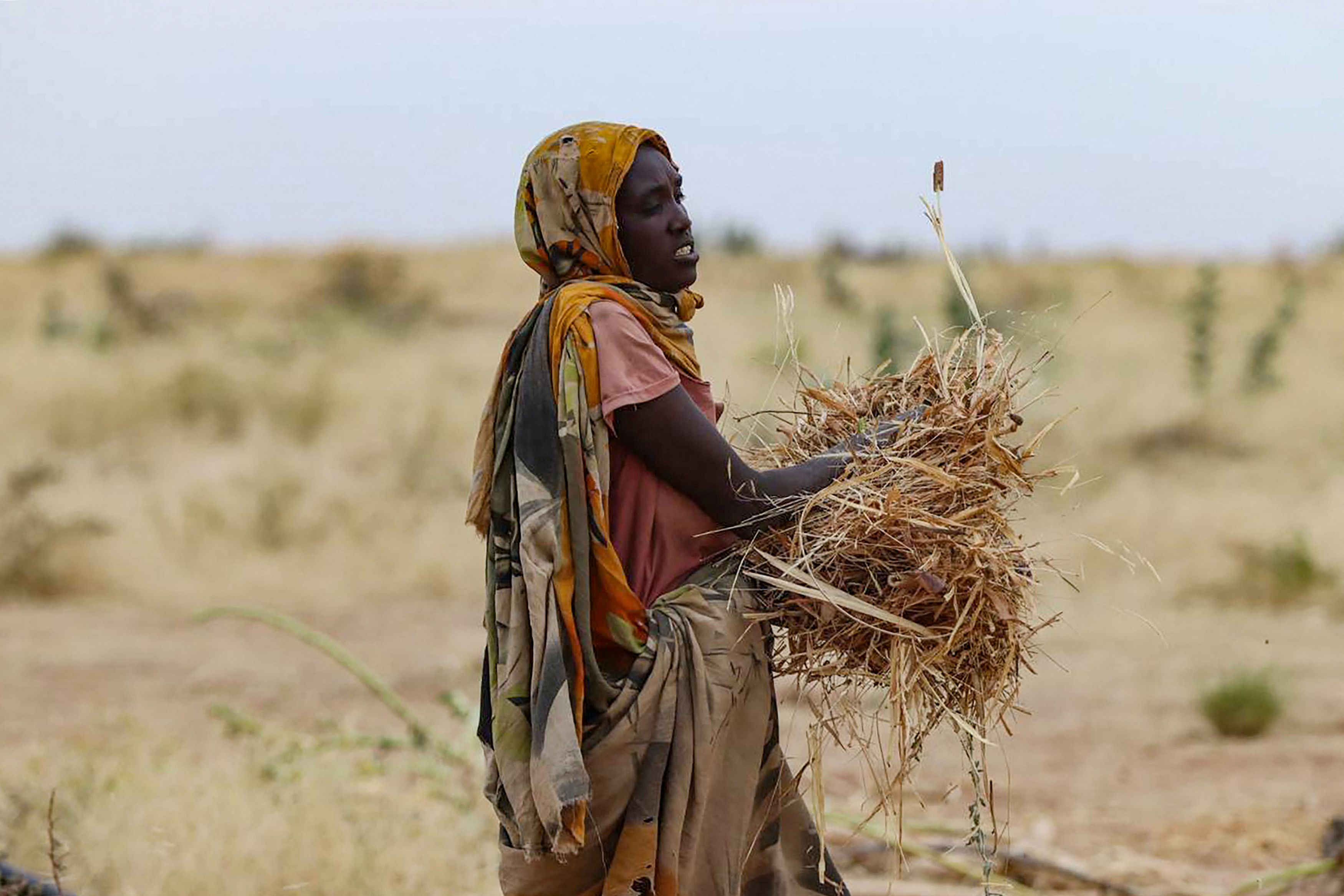 Displaced families in Sudan face violence, hunger, and death at every turn