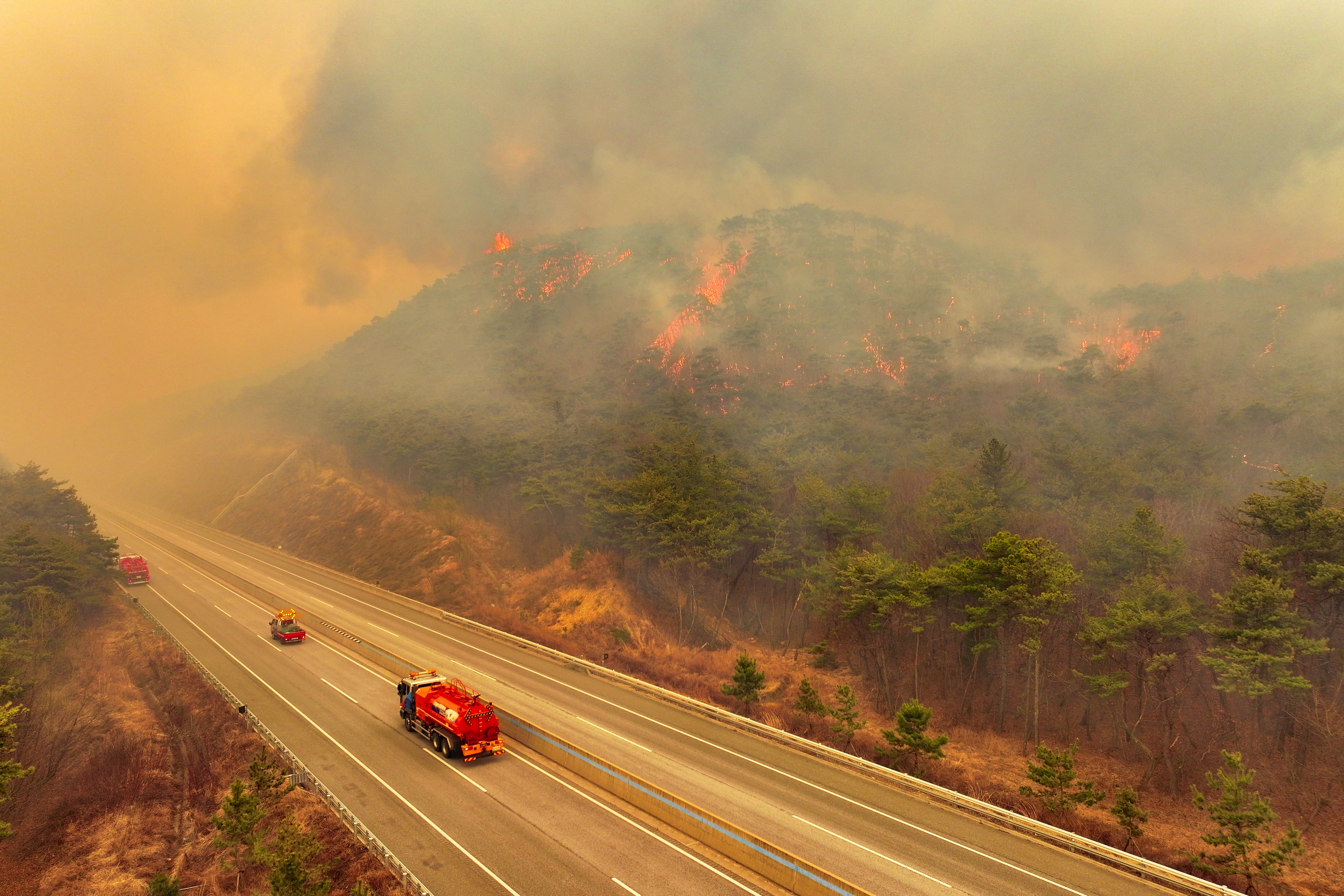 Wildfires kill 18 and displace thousands in South Korea