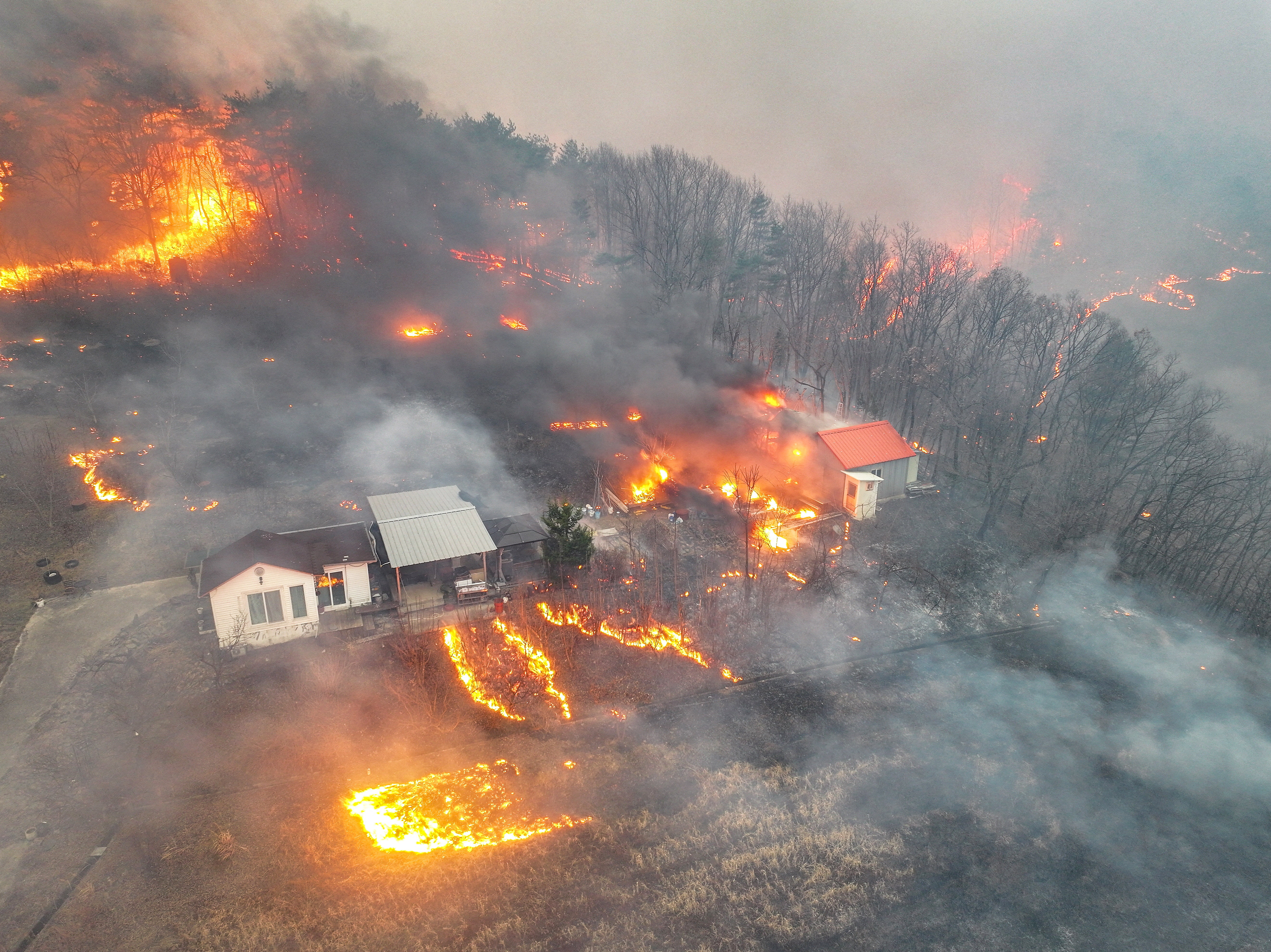 Wildfires kill 18 and displace thousands in South Korea