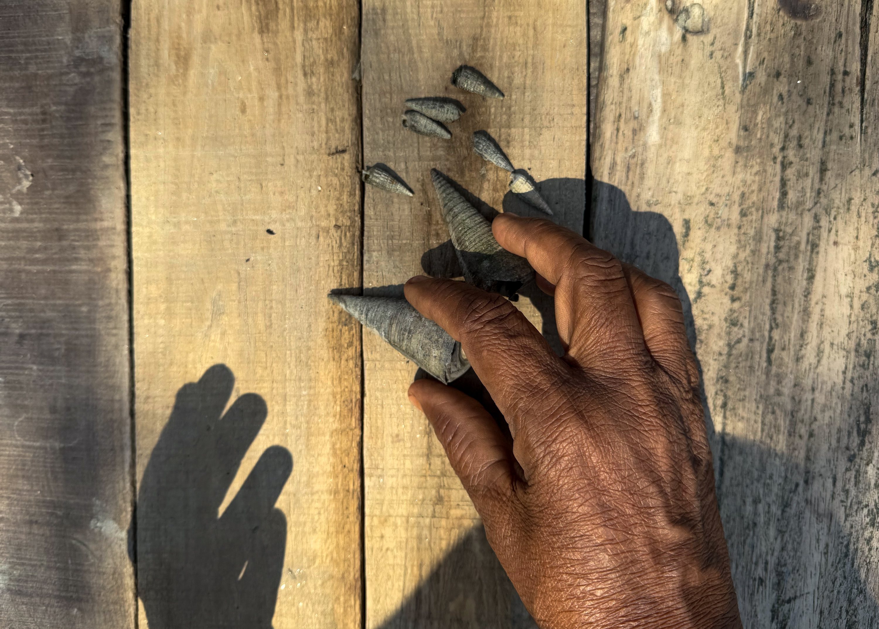 The fisherwoman of the Sundarbans - Mahfuza [Rubayet Mahmood/Al Jazeera]