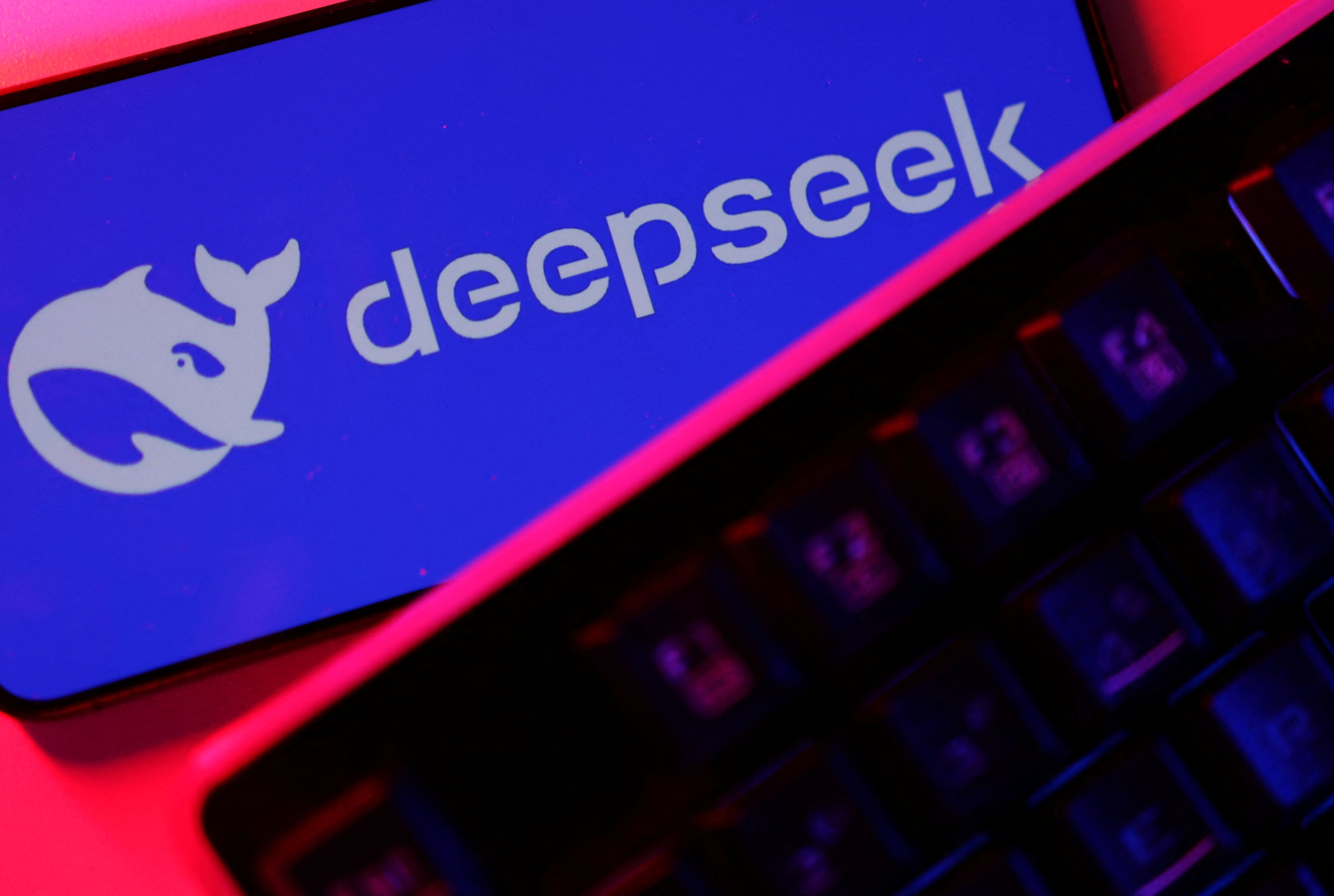 DeepSeek logo.