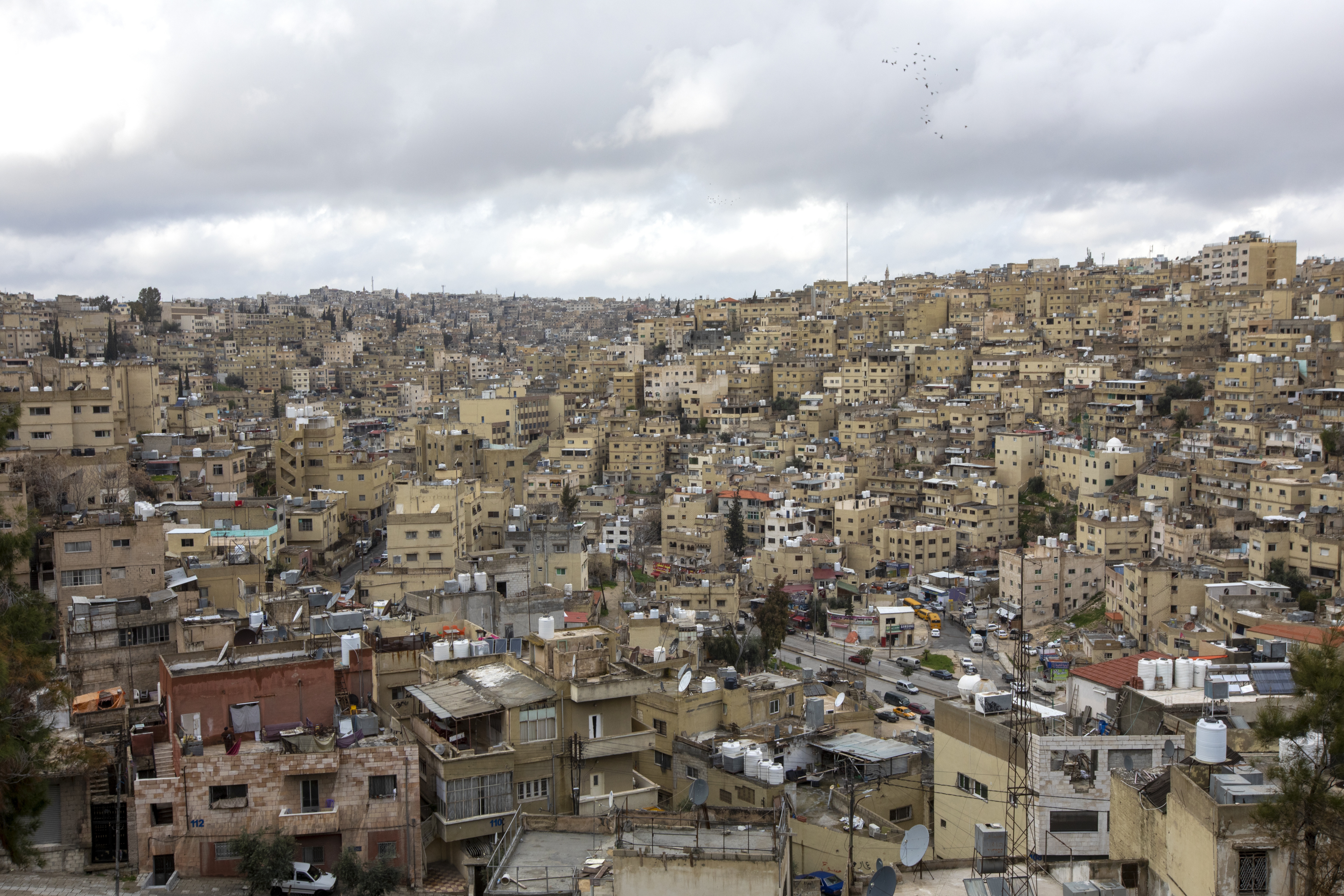 Amman
