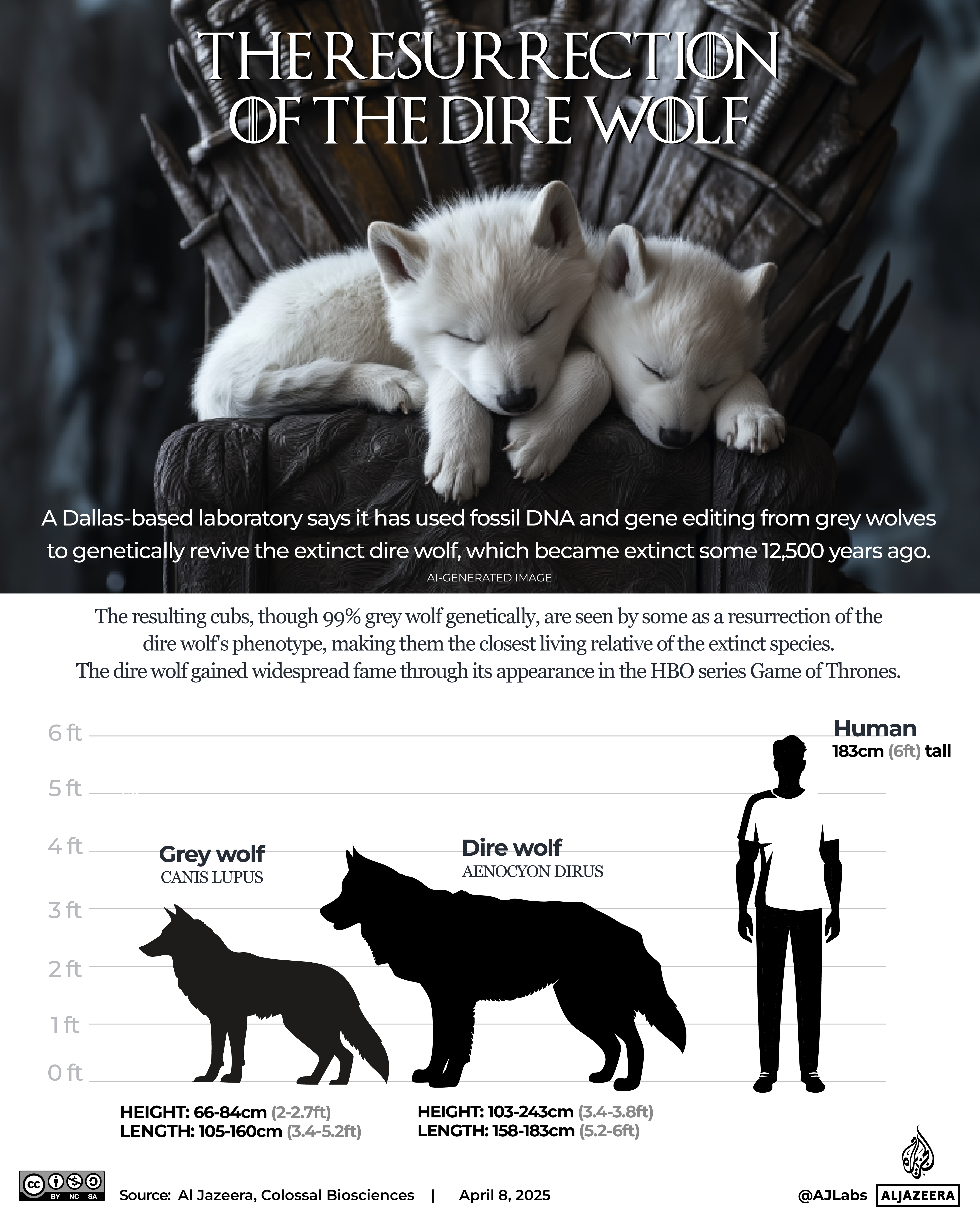 Interactive_DireWolf_Apr8_2025_TheTrueKingintheNorth