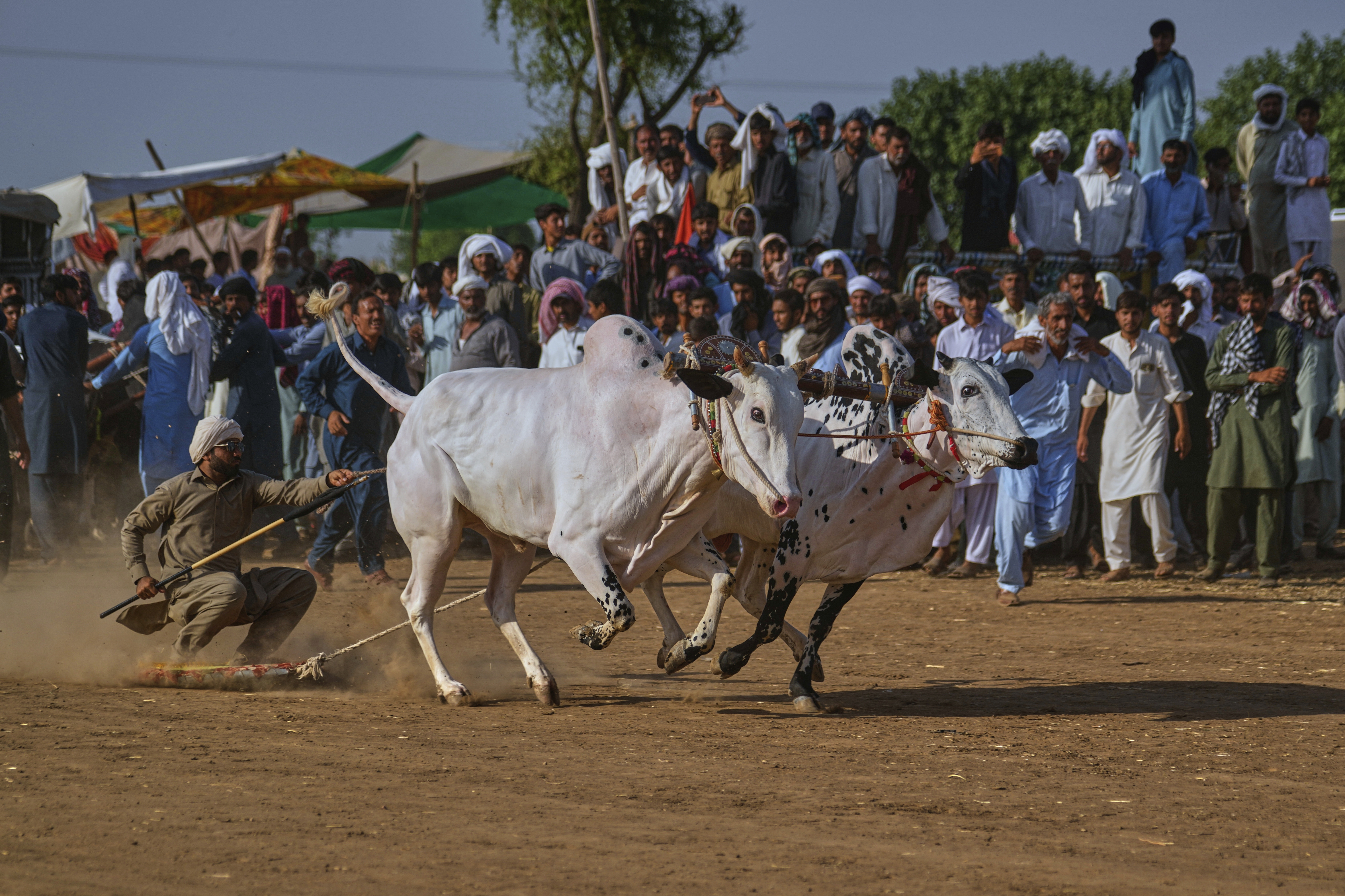 Pakistan Bull Racing