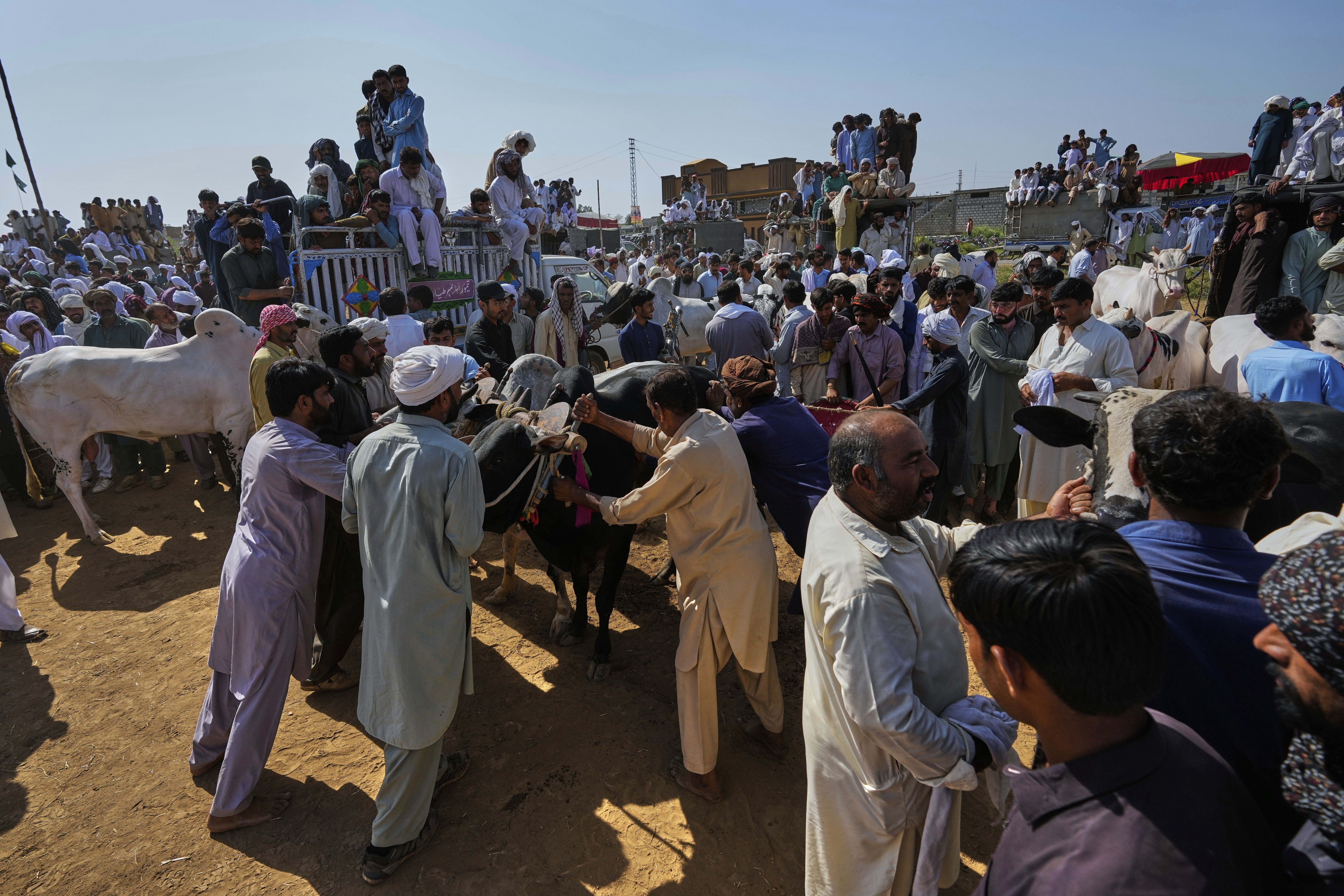 Pakistan Bull Racing