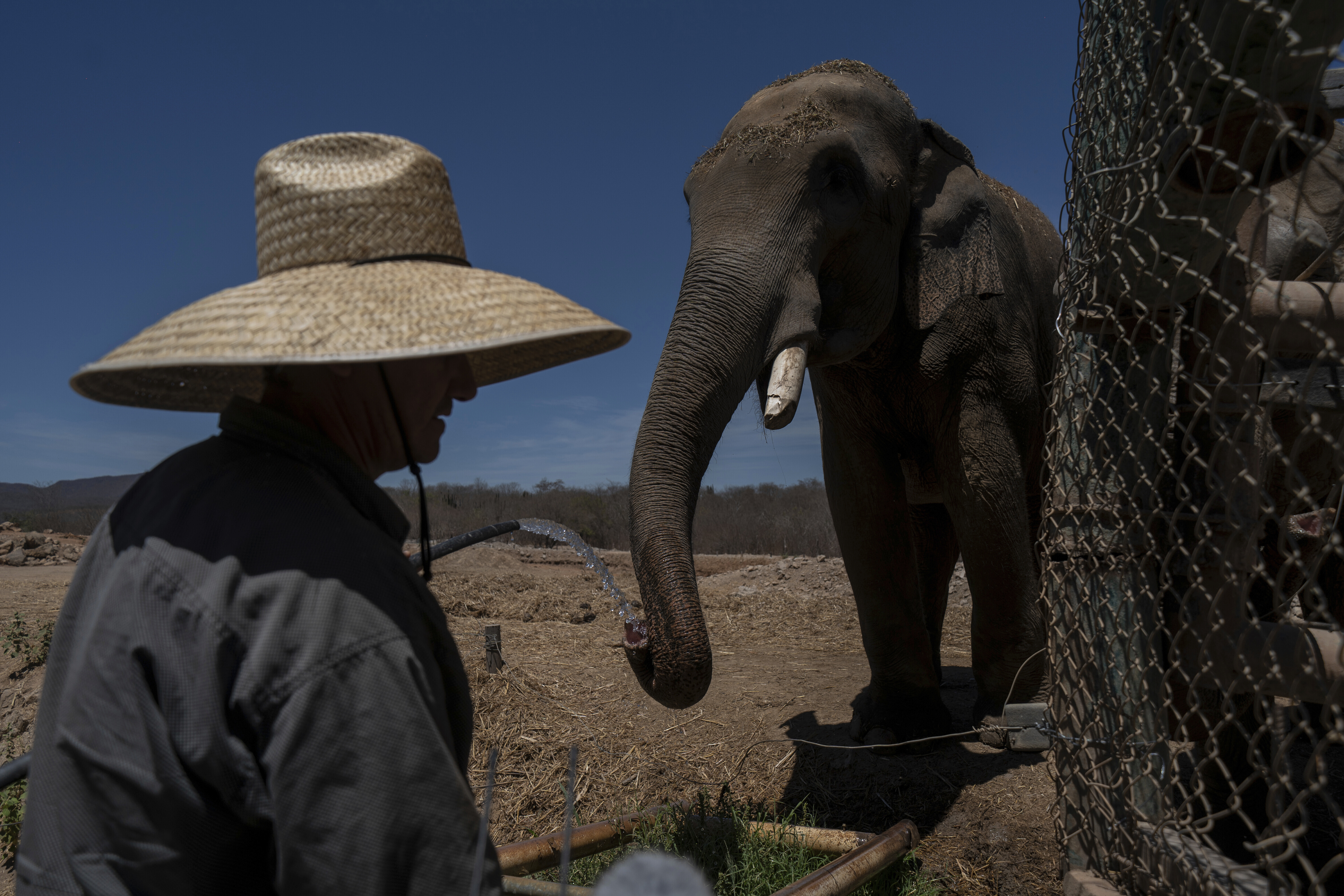 Mexico Violence Animals Refuge
