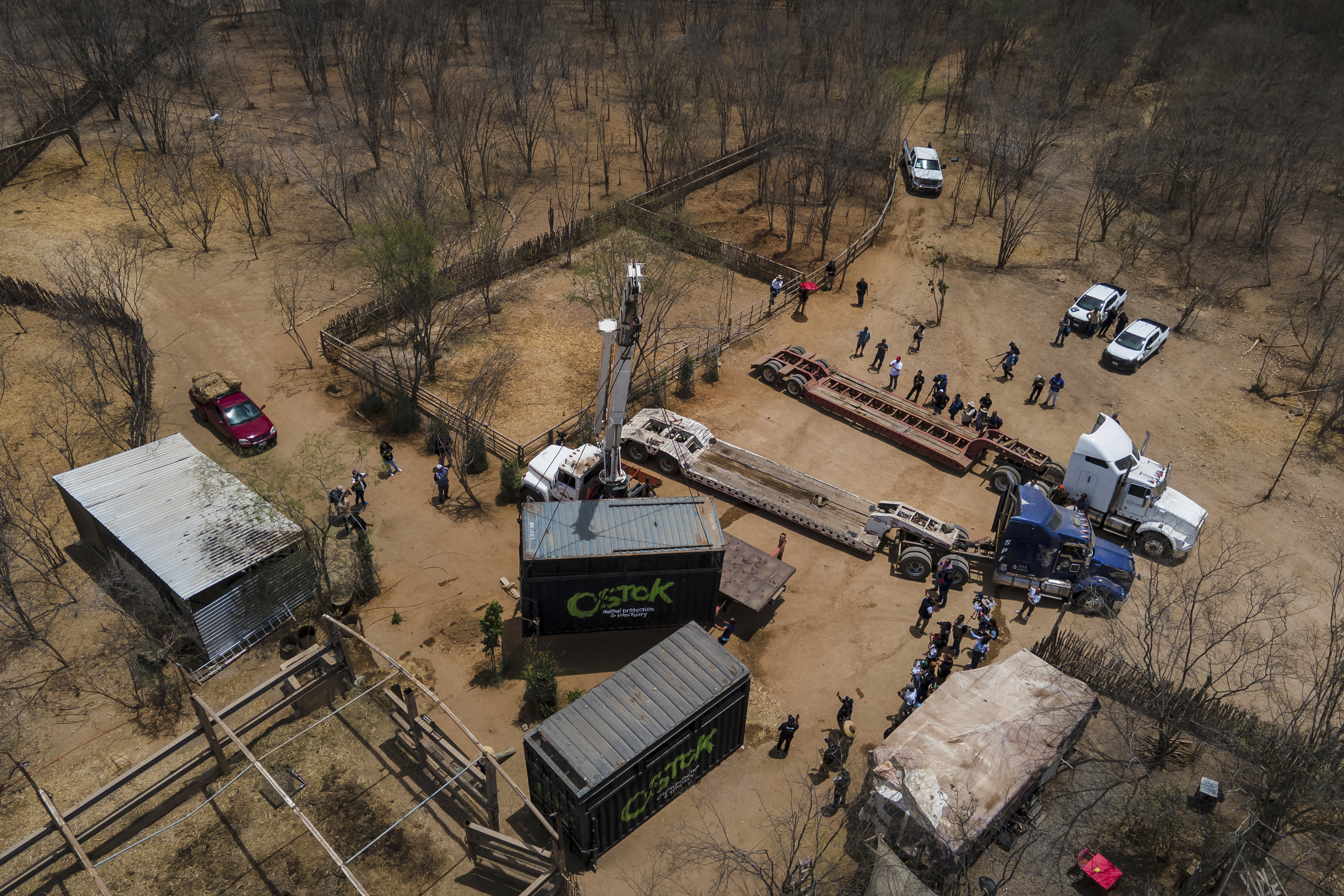 Mexico Violence Animals Refuge