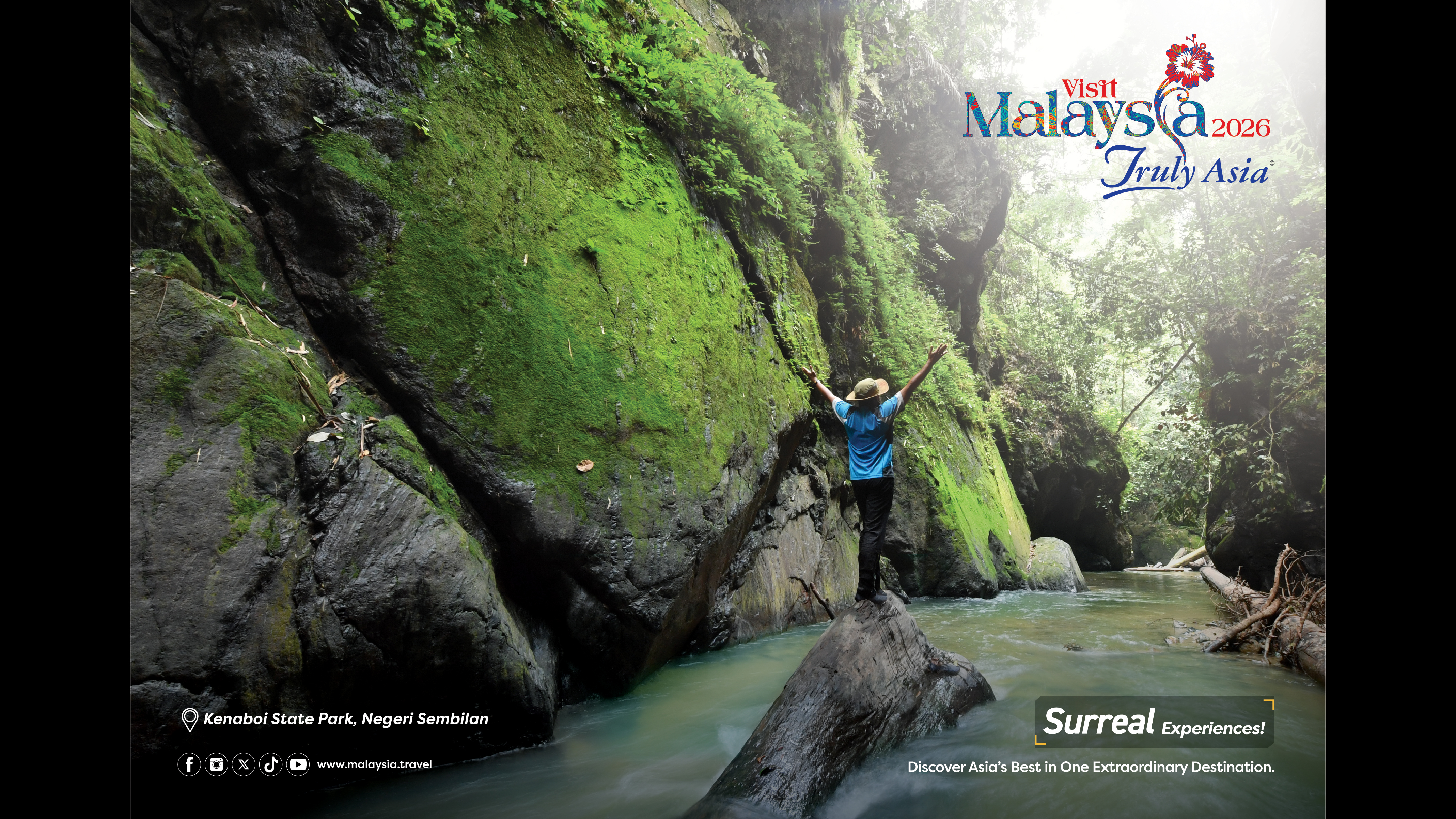 A person stands in a jungle