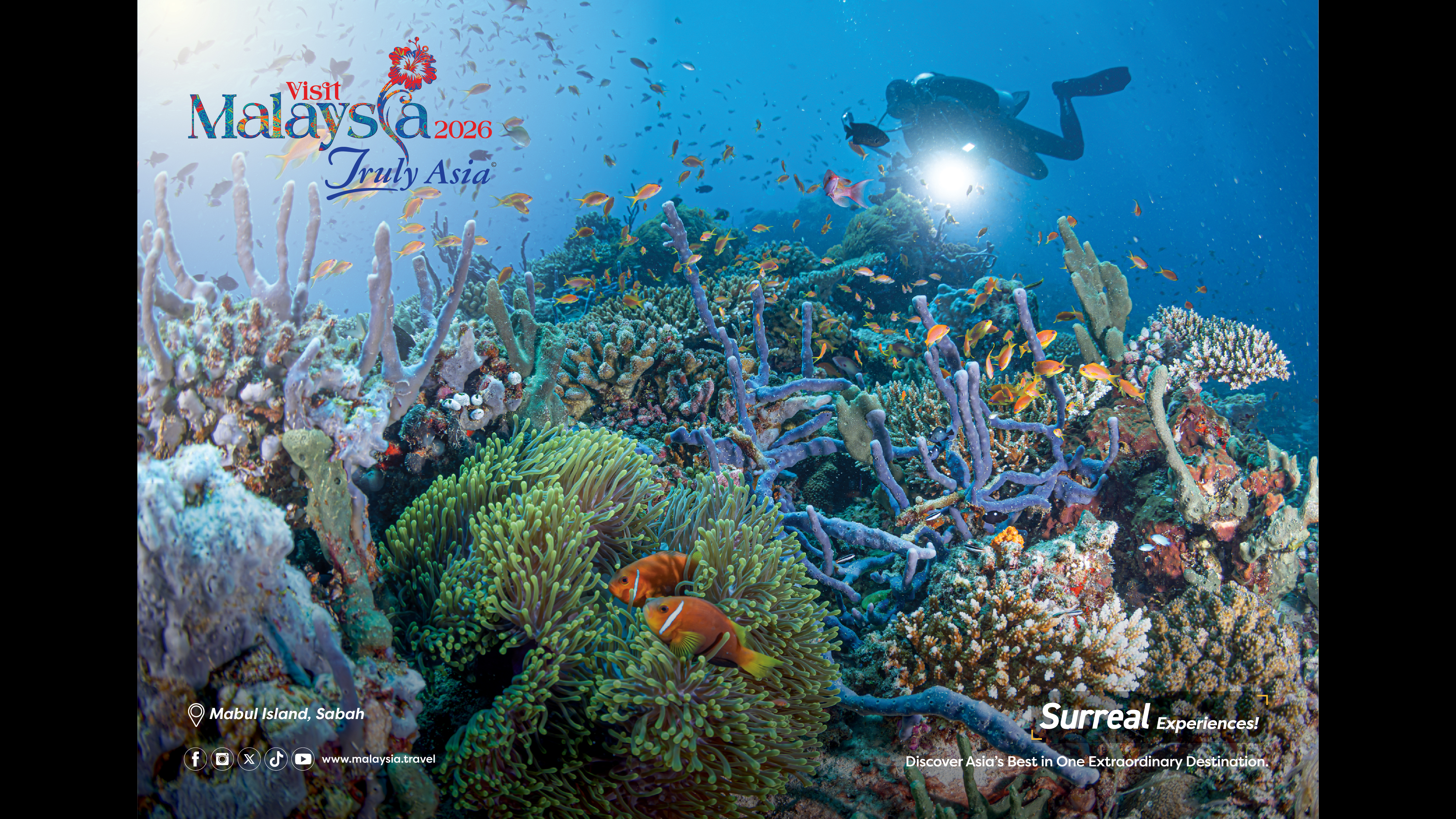 A diver underwater withh fish