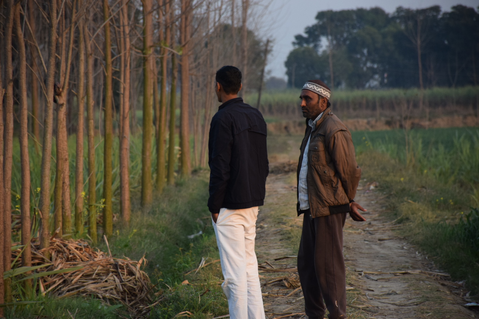 Mohsin (left) and a cousin survey their fields while wondering whether farming has any future at all in India [Ismat Ara/ Al Jazeera]