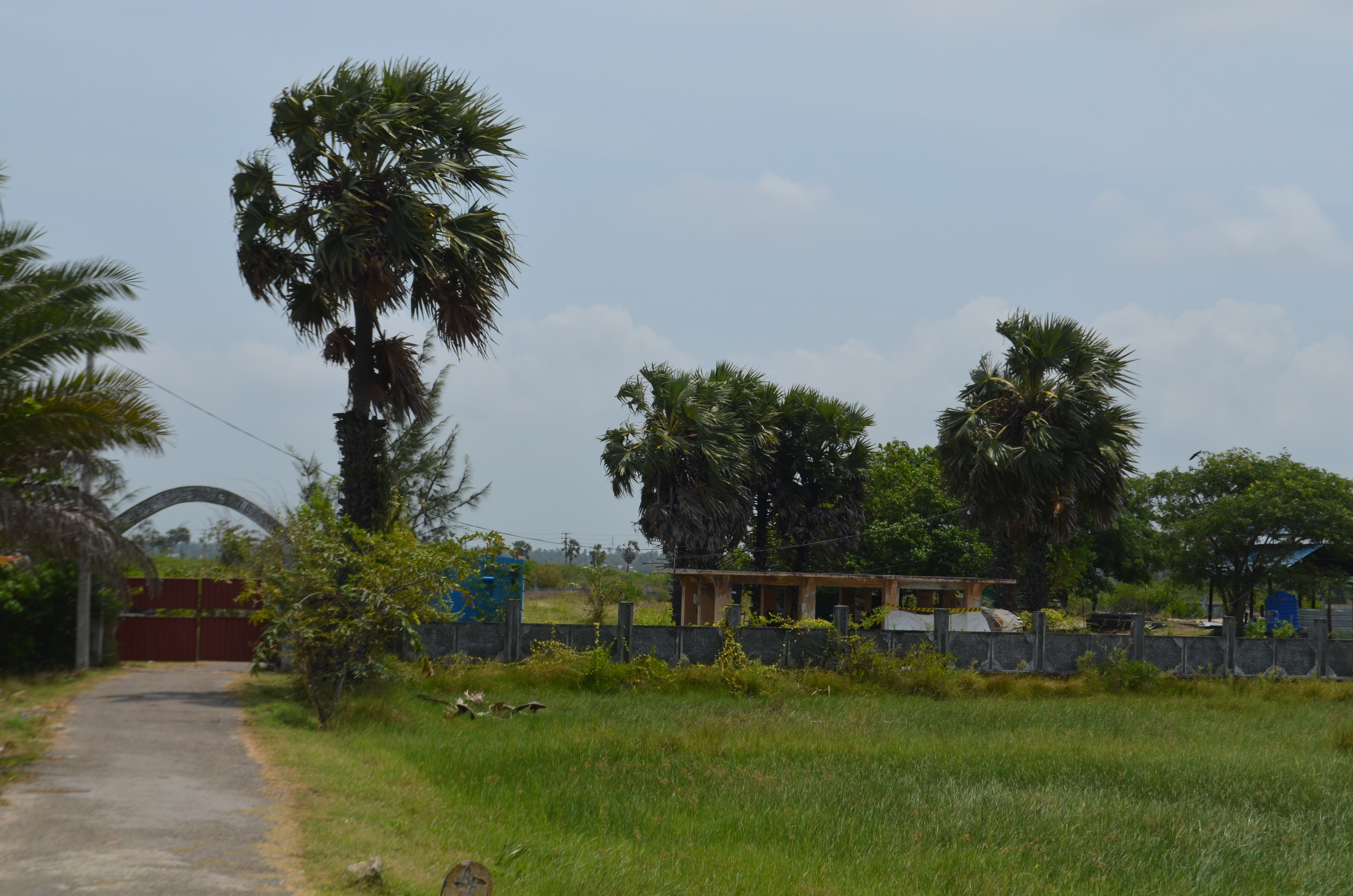 The road leading to the new mass grave discovered in Chemmali in Sri Lanka's Northern Province, the country's Tamil heartland [Jeevan Ravindran/Al Jazeera]