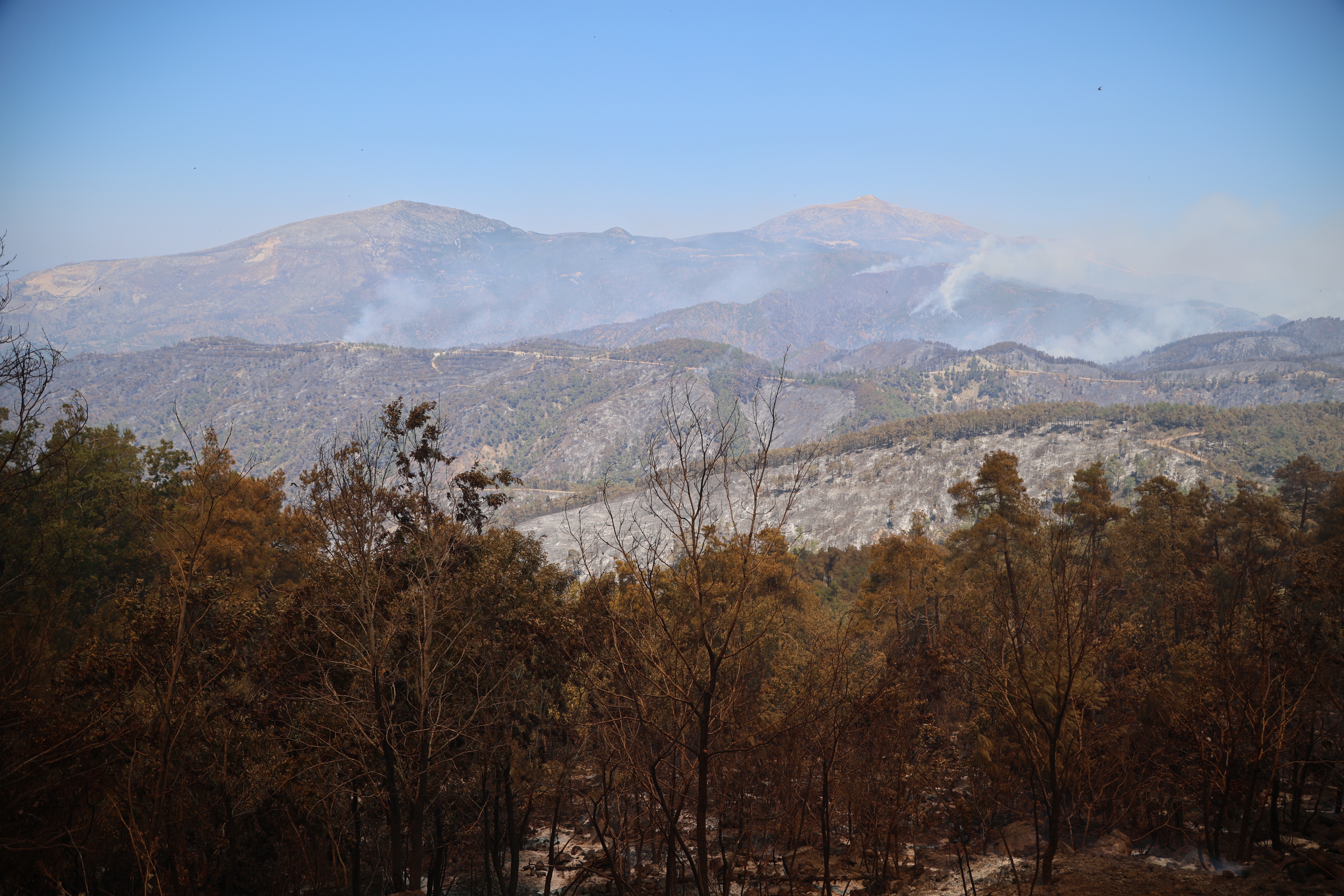 Columns of smoke rise from the wildfires in the distance in Latakia, Syria, on July 11, 2025.