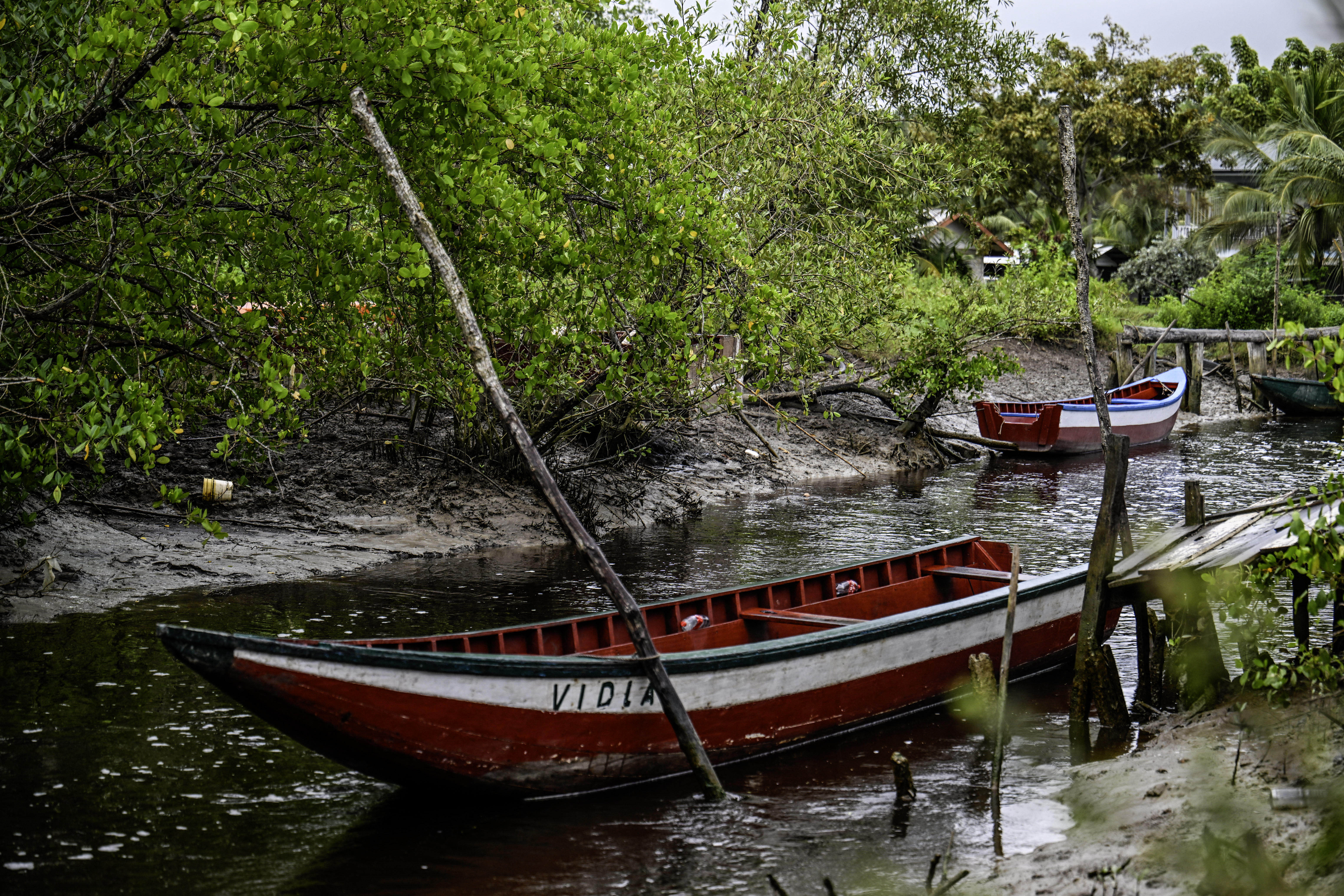 'Every day I see land disappear': Suriname's battle to keep sea at bay