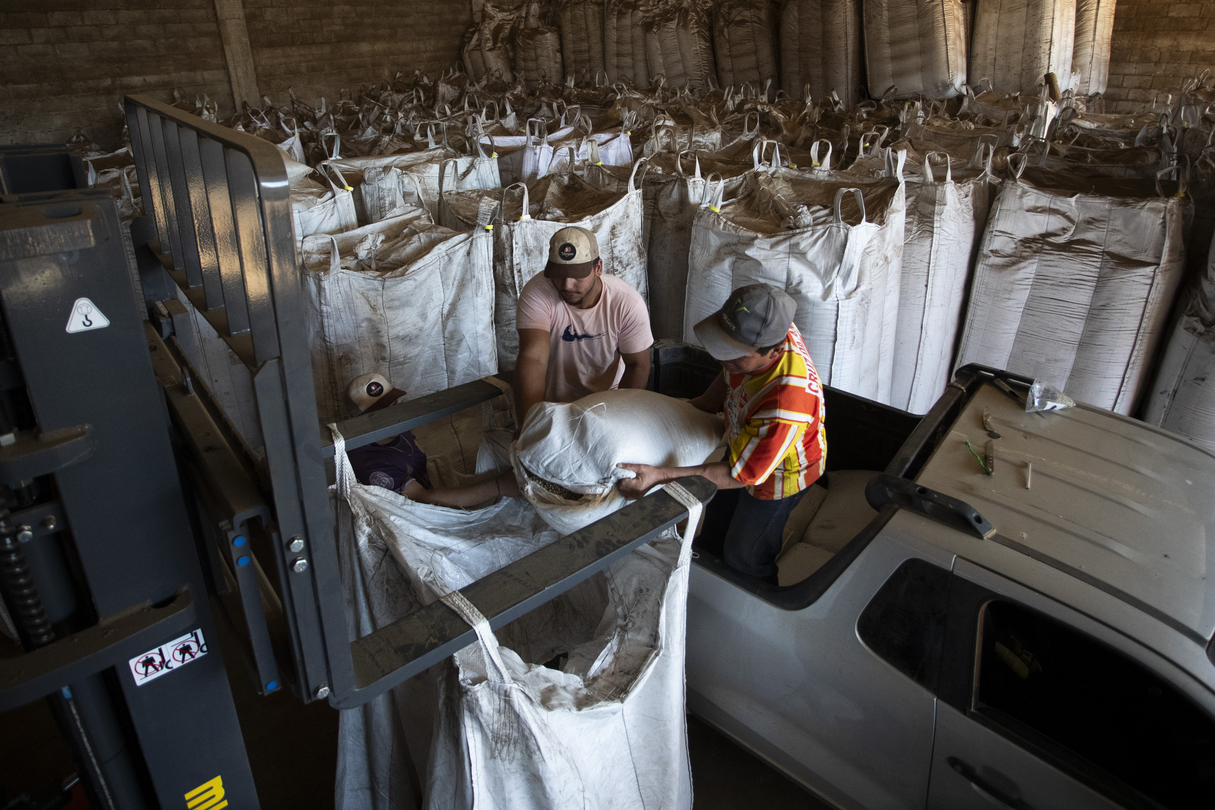 Workers store coffee beans in a warehouse at the Vargas coffee plantation