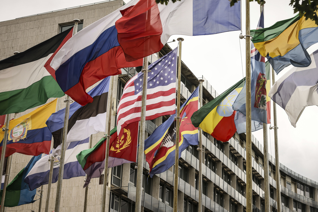 The US flag among others