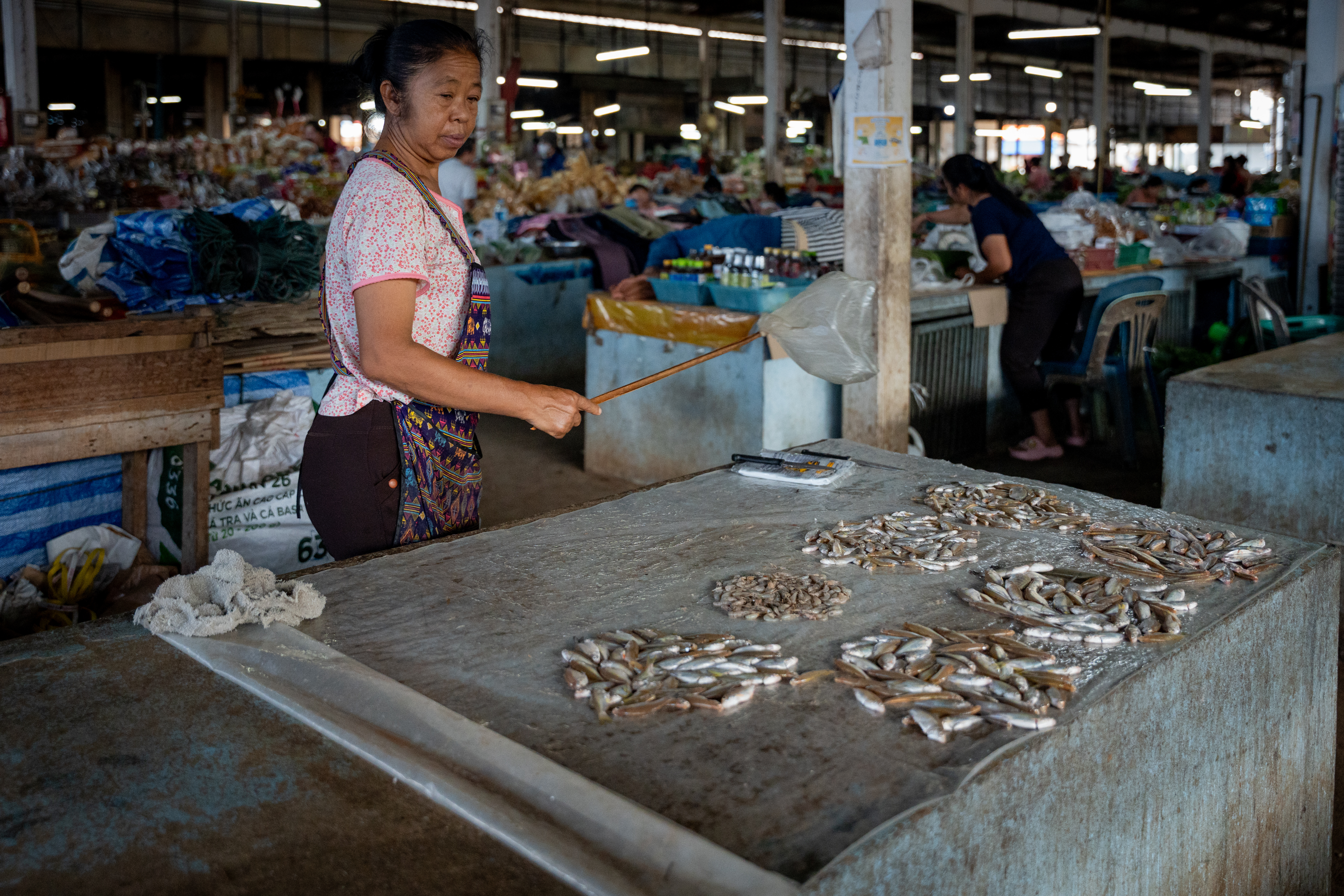 A fish seller at Kad Wang View, the main market in Houayxay, where stalls were nearly empty during a recent visit [Fabio Polese/Al Jazeera]