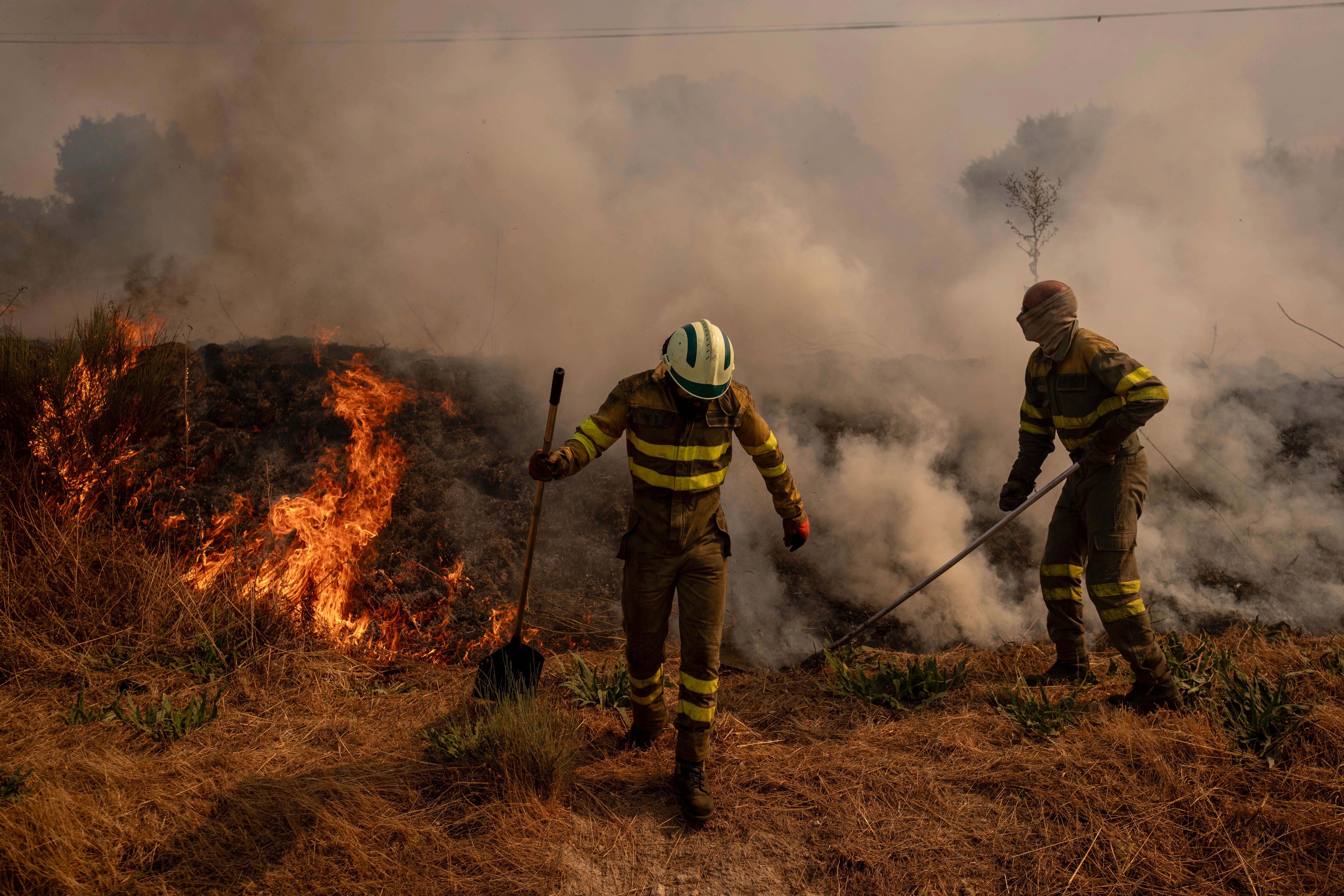 Volunteers battle a forest fire in Oimbra, Ourense, Spain on August 19, 2025.