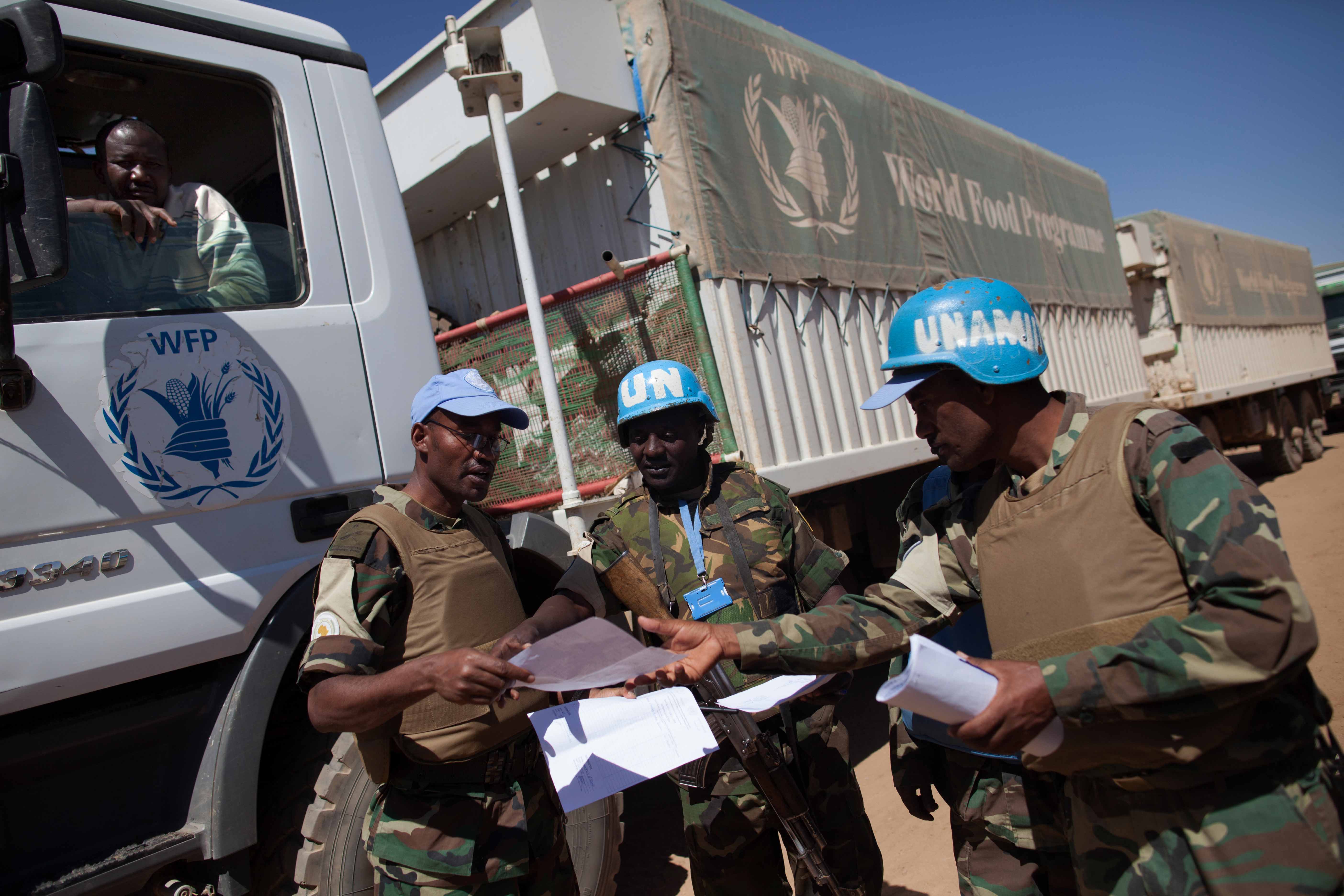 A handout picture taken on February 10, 2014 and released by the United Nations-African Union Mission in Darfur