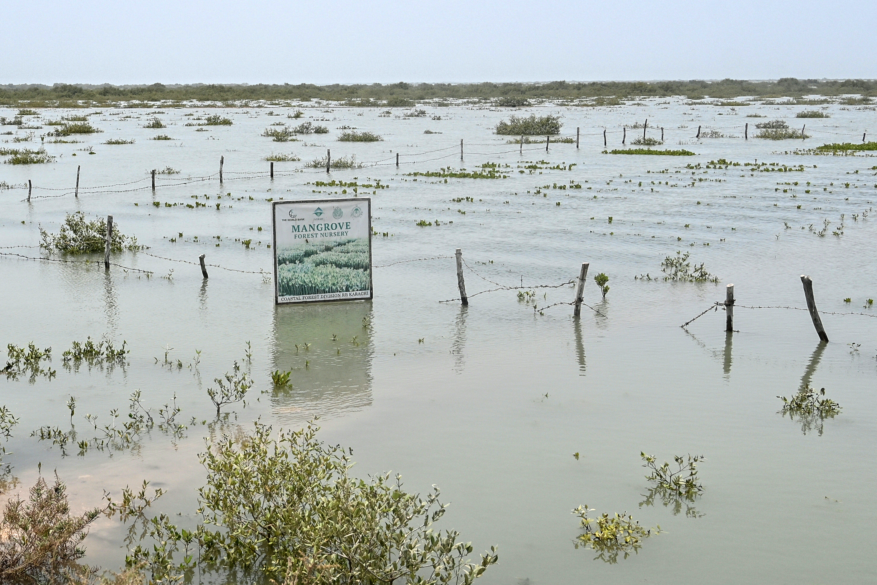 Death of a delta: Pakistan's Indus sinks and shrinks
