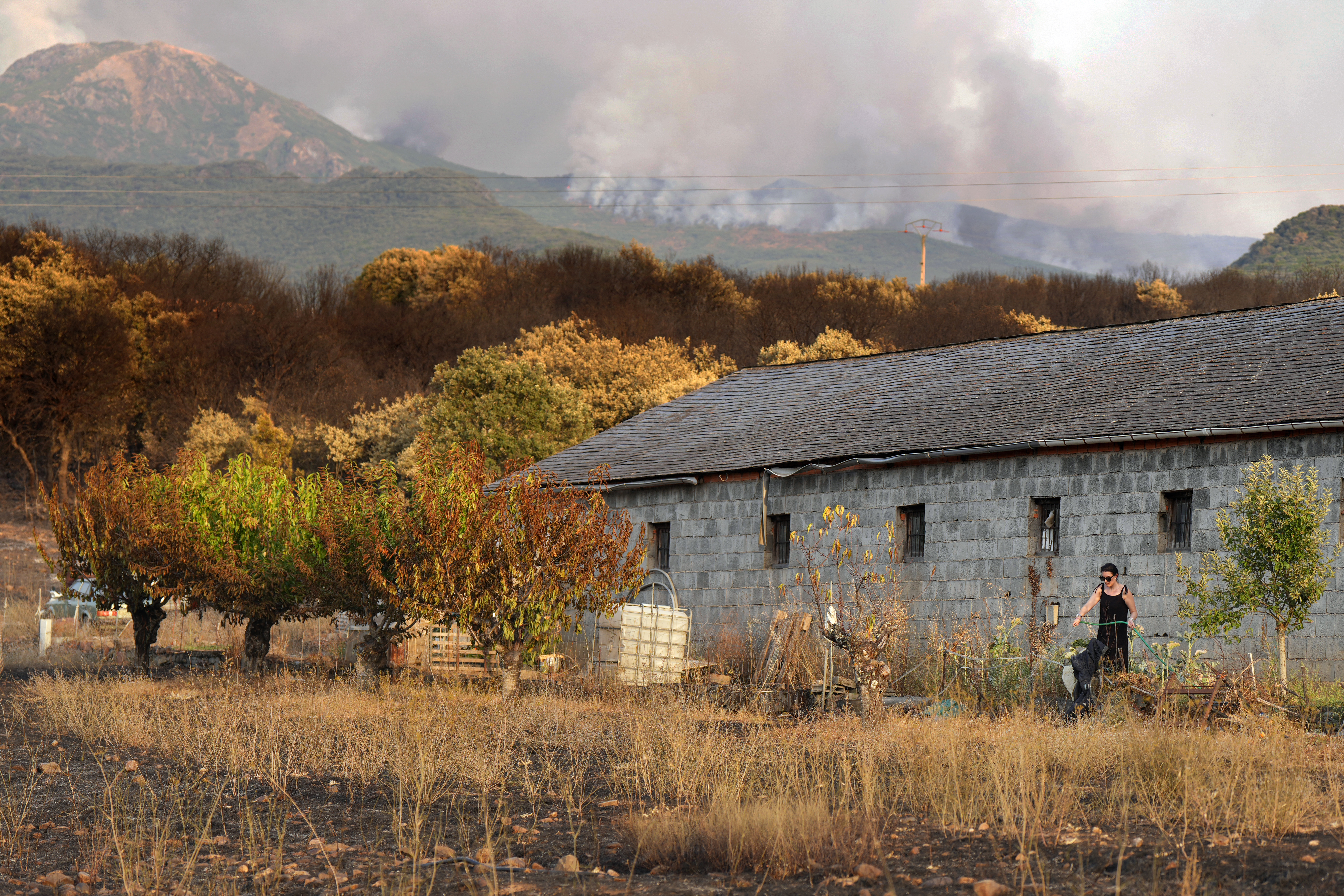 A woman waters plants while a wildfire burns in the mountains in Carucedo on August 11, 2025. Firefighters in northwestern Spain struggled today to contain a wildfire that damaged a Roman-era mining site and forced hundreds of residents to evacuate