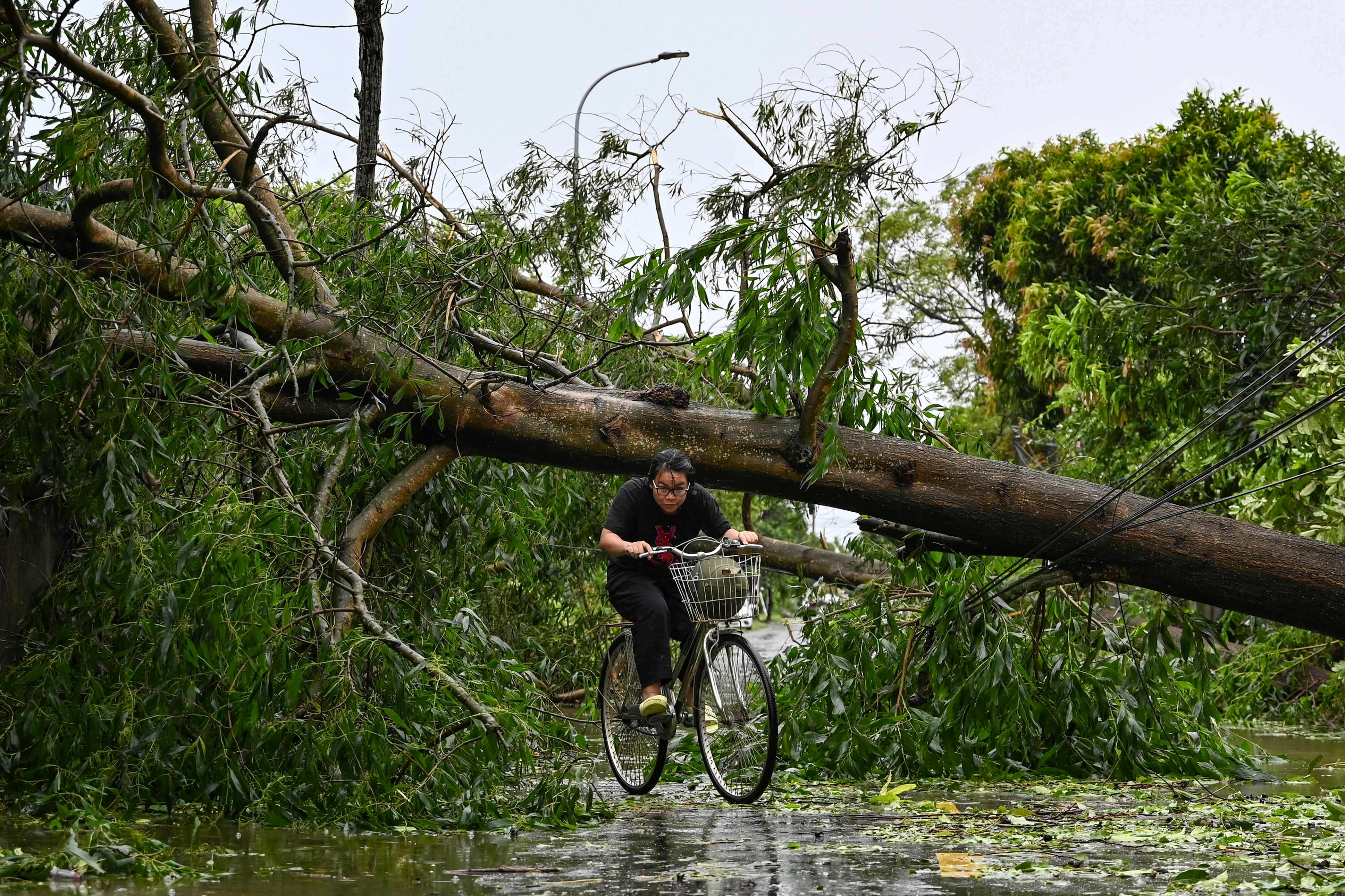 Typhoon Kajiki death toll rises in Vietnam