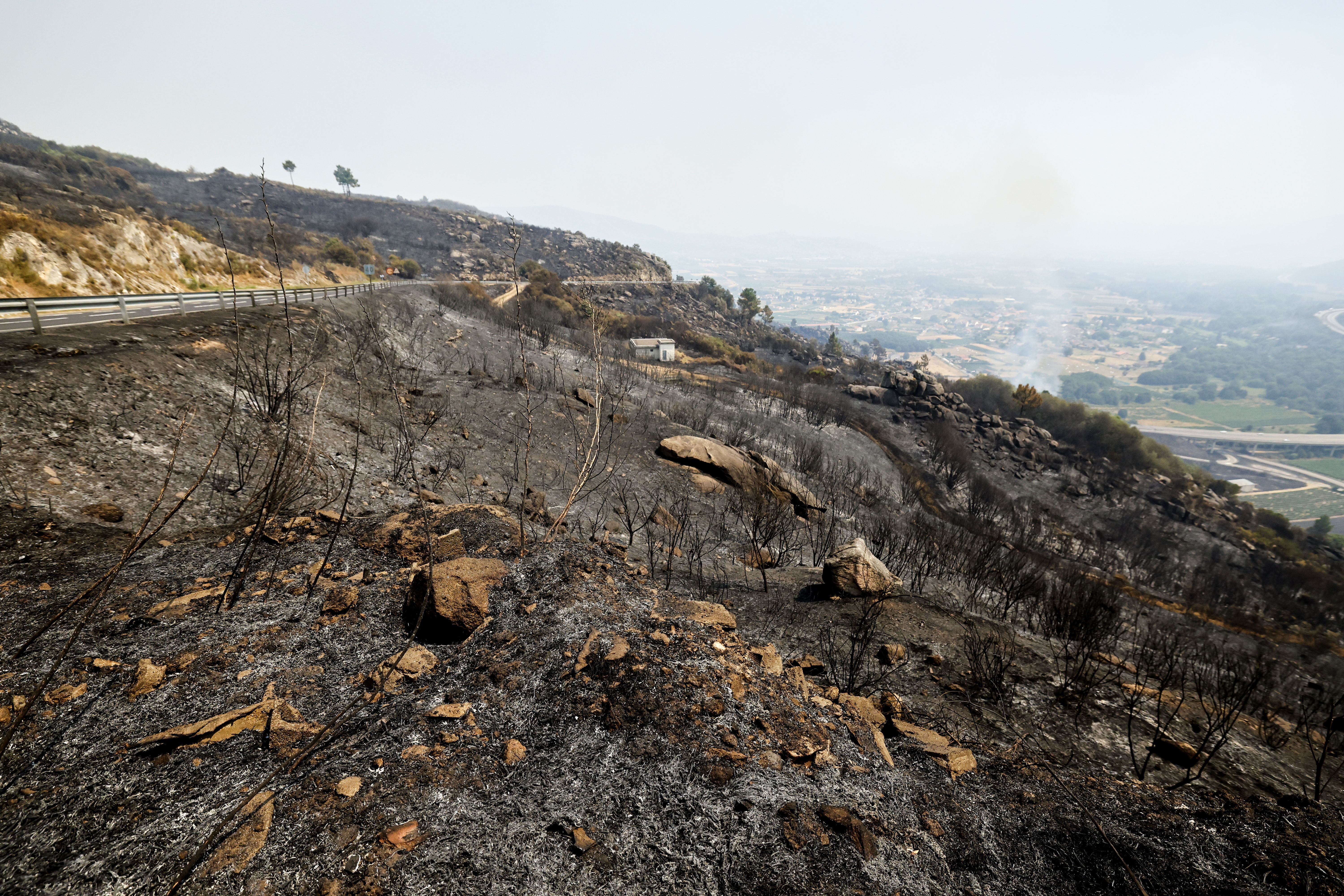 A view of charred vegetation after a wildfire in Caridade, northwestern Spain on August 14, 2025.