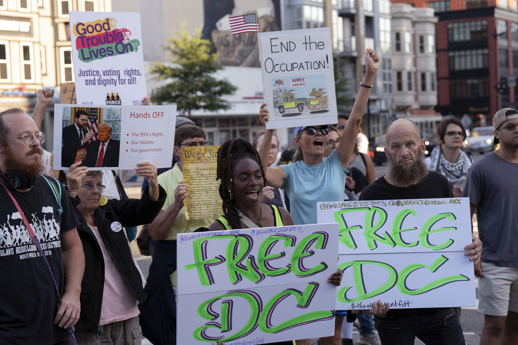 people hold signs saying Free DC at a protest