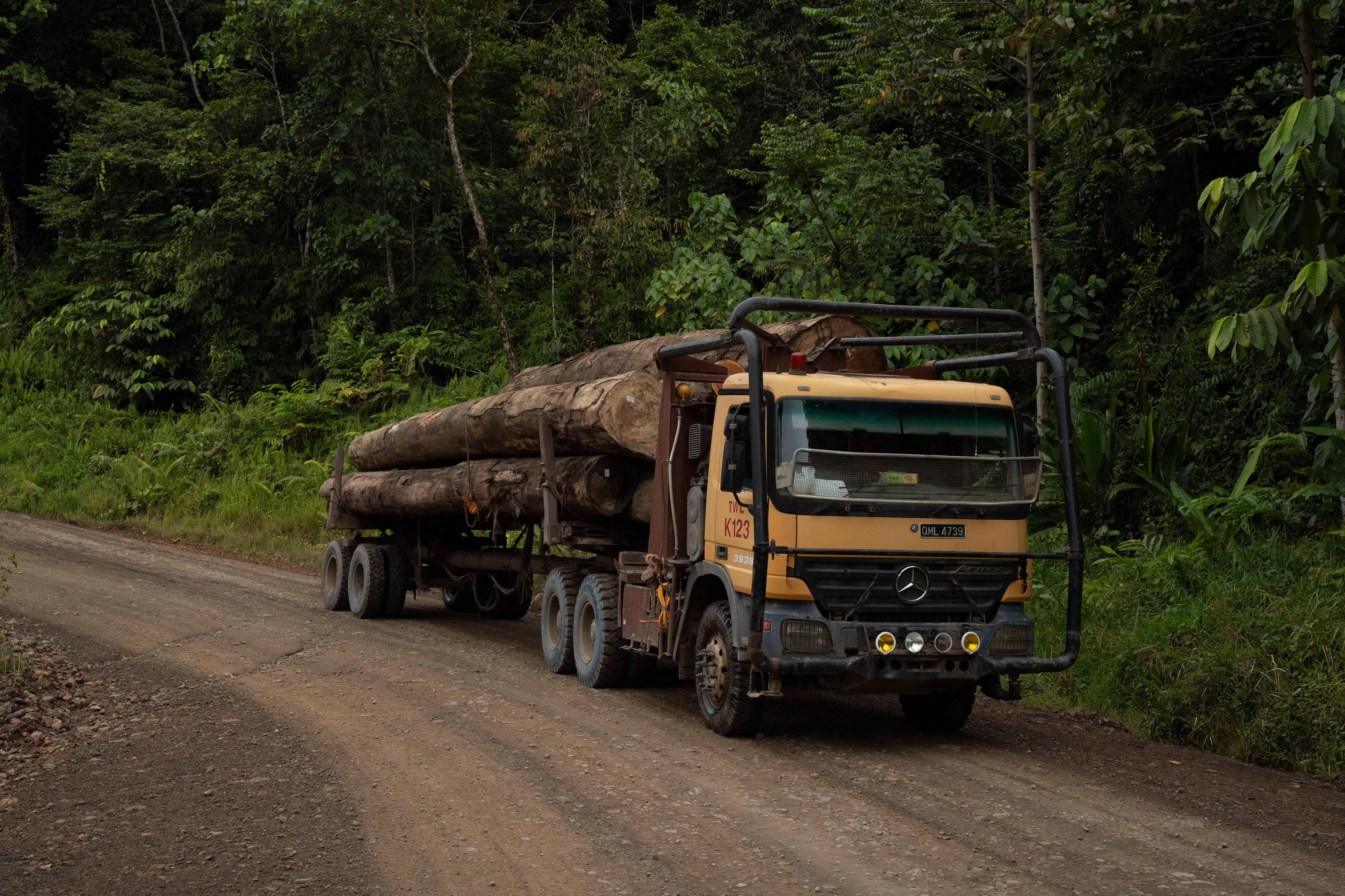 Harvested logs in Sarawak [Izzy Sasada/Al Jazeera]