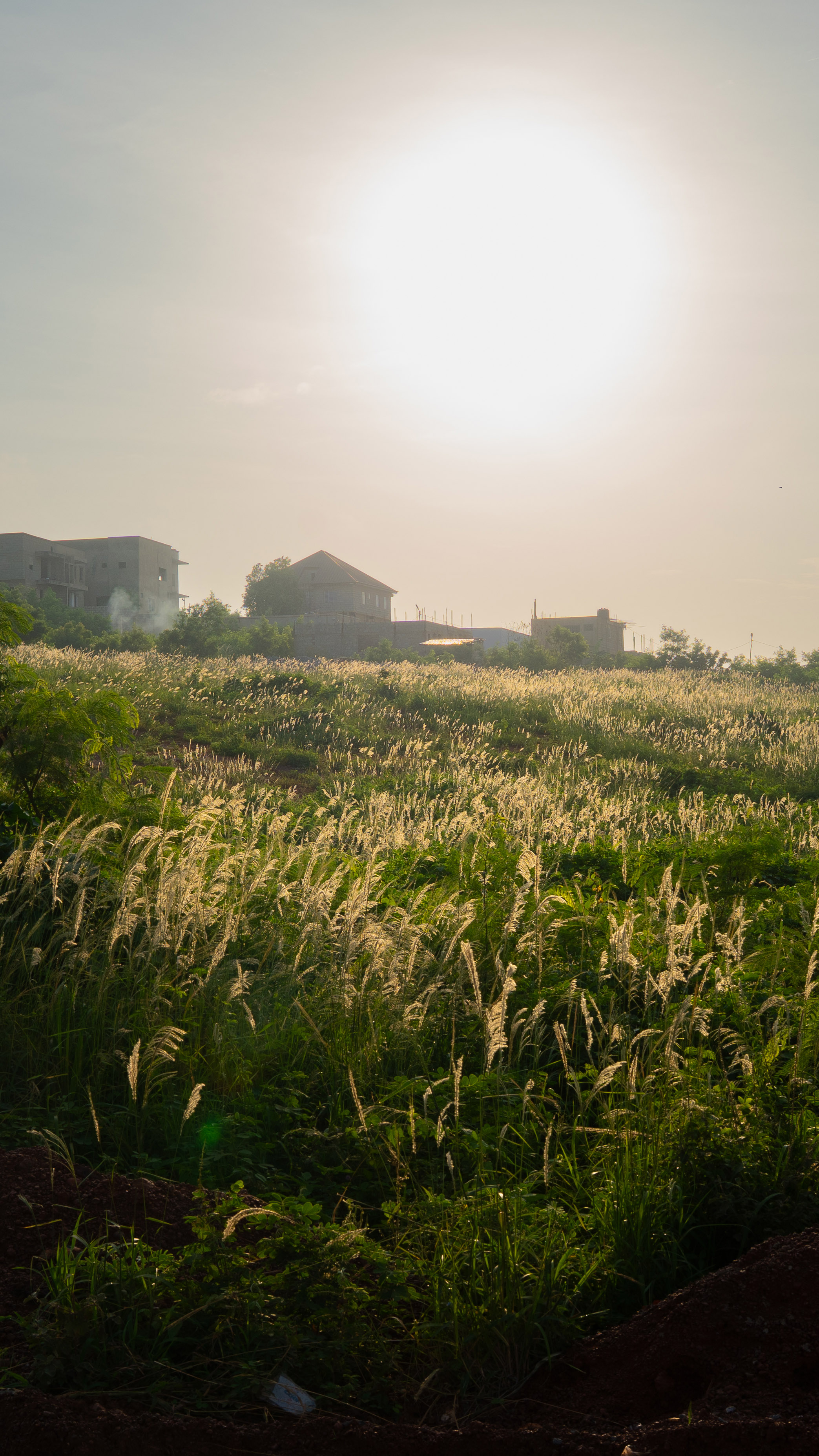 Sunrise at the edge of the city in Accra [Costanza Gambarini/SourceMaterial]