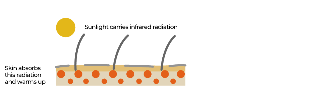 INTERACTIVE-sun-heat stress - August 26, 2025-1756208140