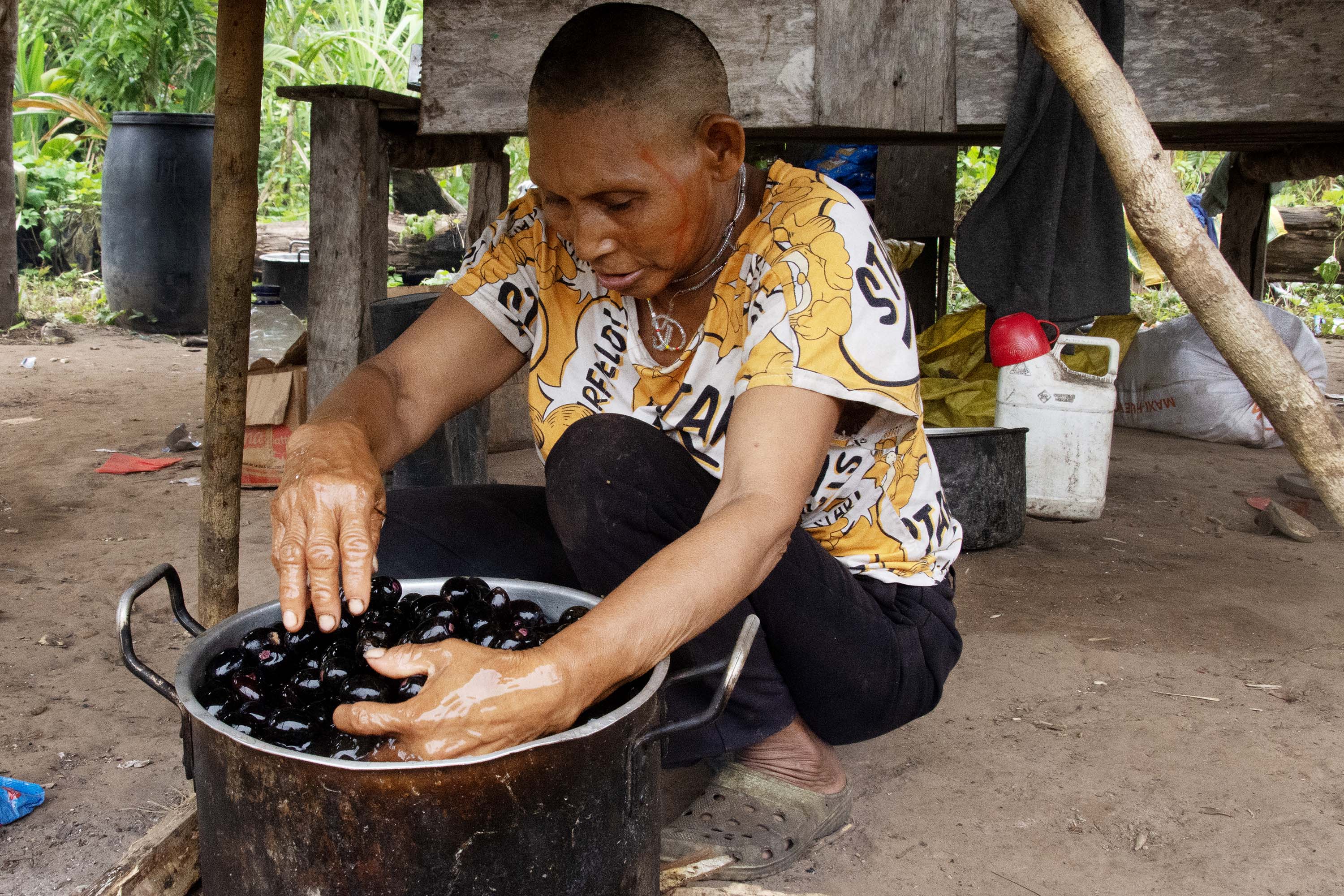 A Nukak person cleans large purple berries in a black pot on the ground.