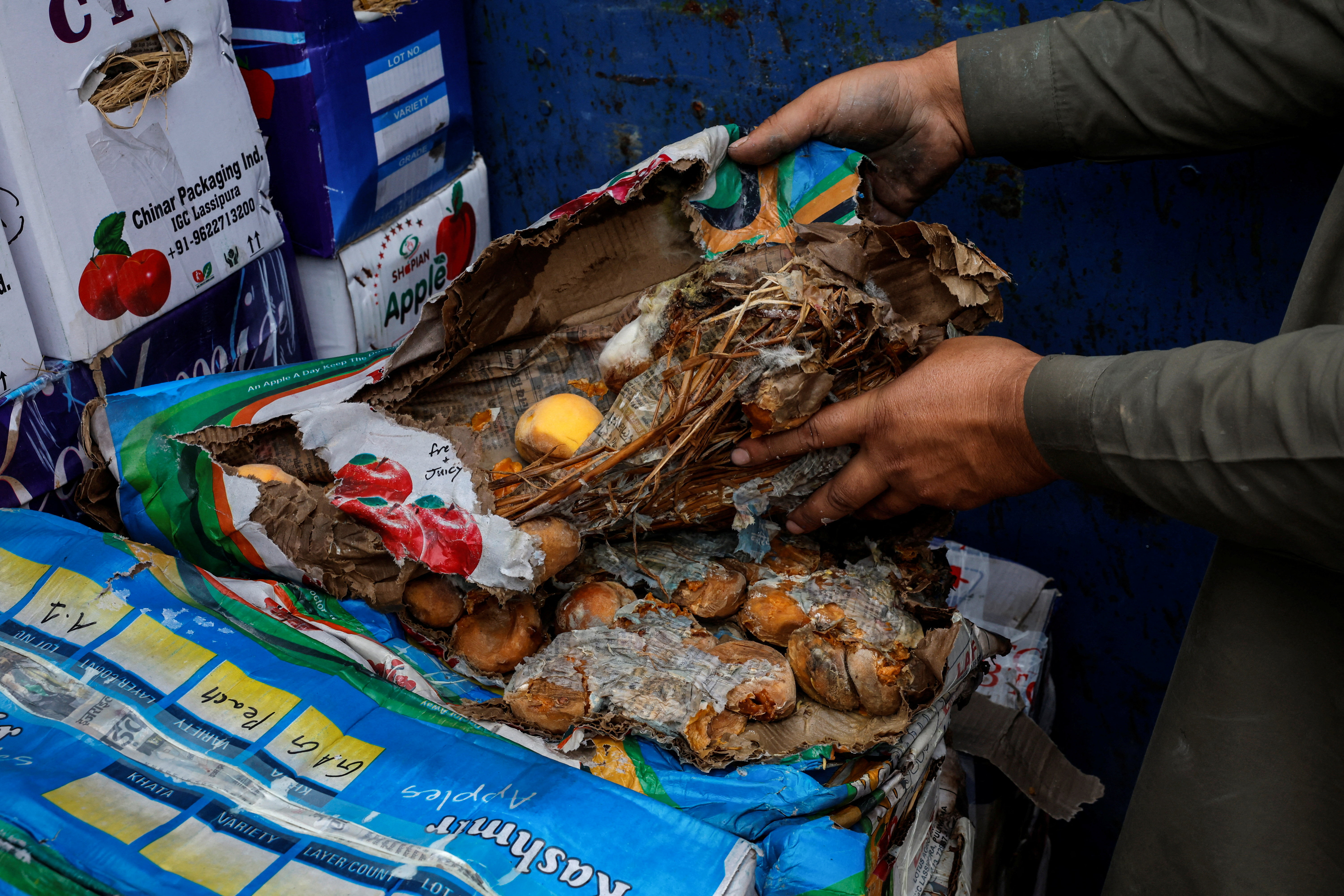 A truck driver shows rotten apples in his vehicle stranded along the Jammu-Srinagar National Highway, after the highway road was closed following landslide and floods, in Qazigund town, Anantnag district, Indian Kashmir