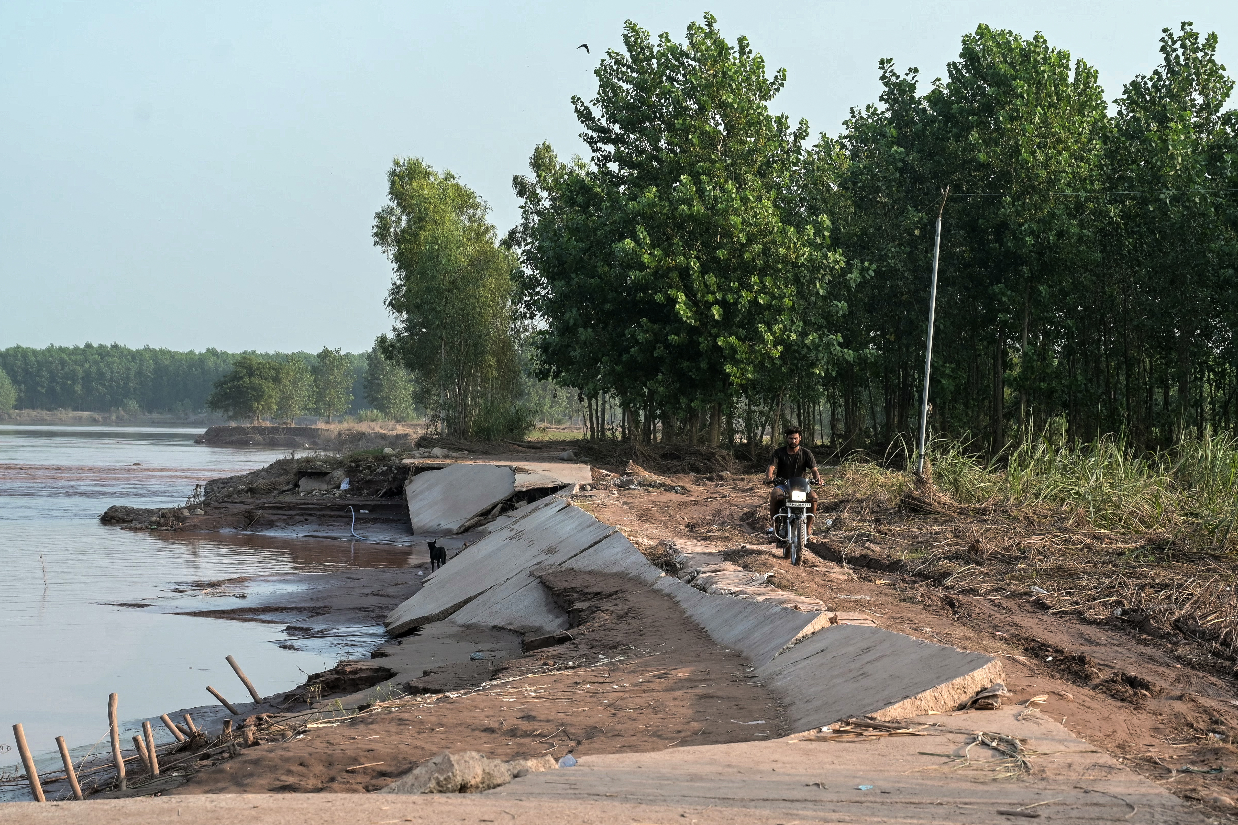 Floods devastate India's breadbasket of Punjab