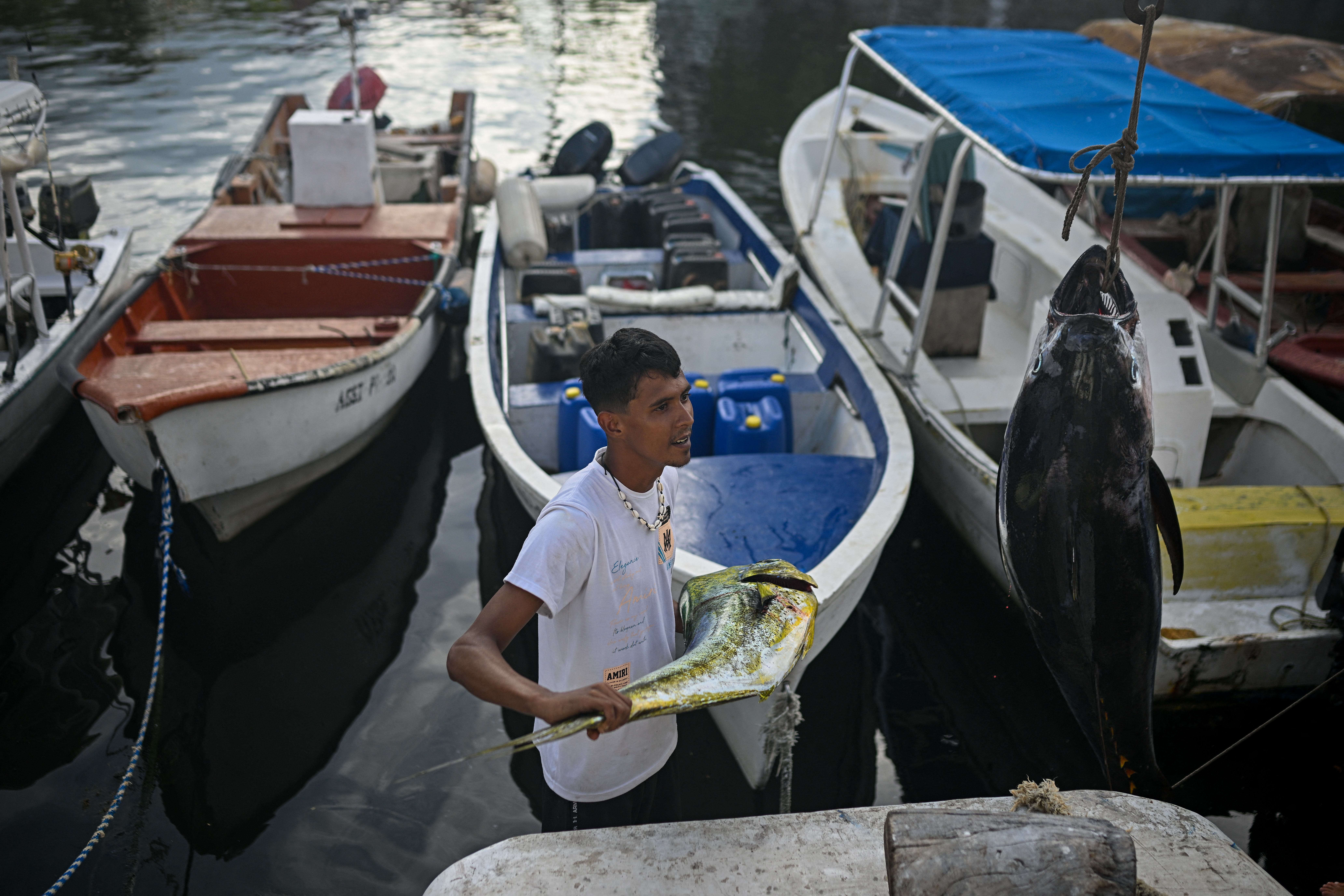 A fisherman holds his catch at a harbour in Caraballeda, La Guaira State, Venezuela on September 24, 2025. Venezuelan fishermen take precautions in response to the United States military deployment in the Caribbean, which has left destroyed boats belonging to alleged drug traffickers. (Photo by Federico PARRA / AFP)