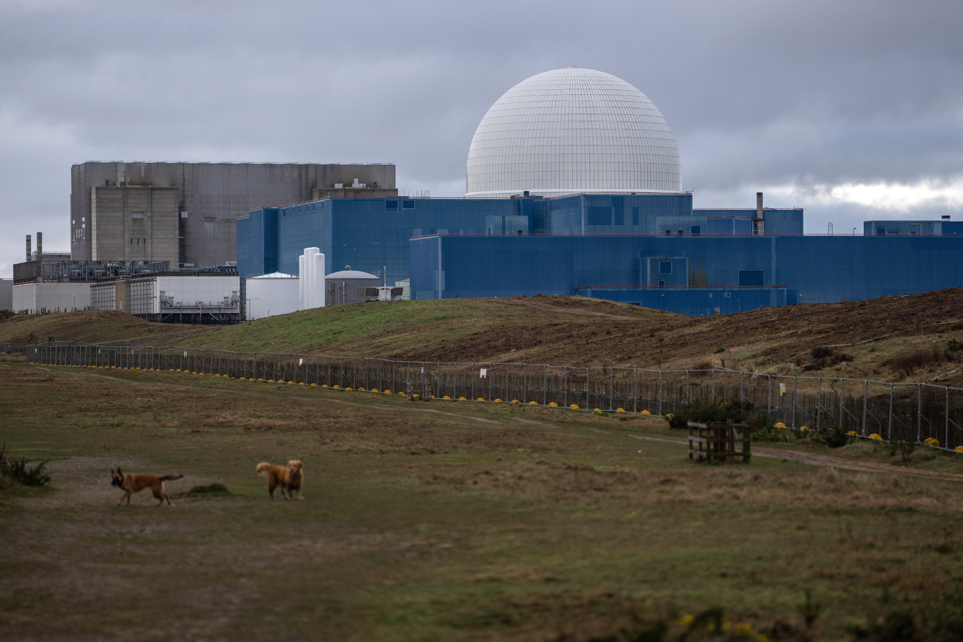 The Sizewell B nuclear power station, the newest operational reactor in the UK, built between 1987 and 1995 [File: Carl Court/Getty Images]