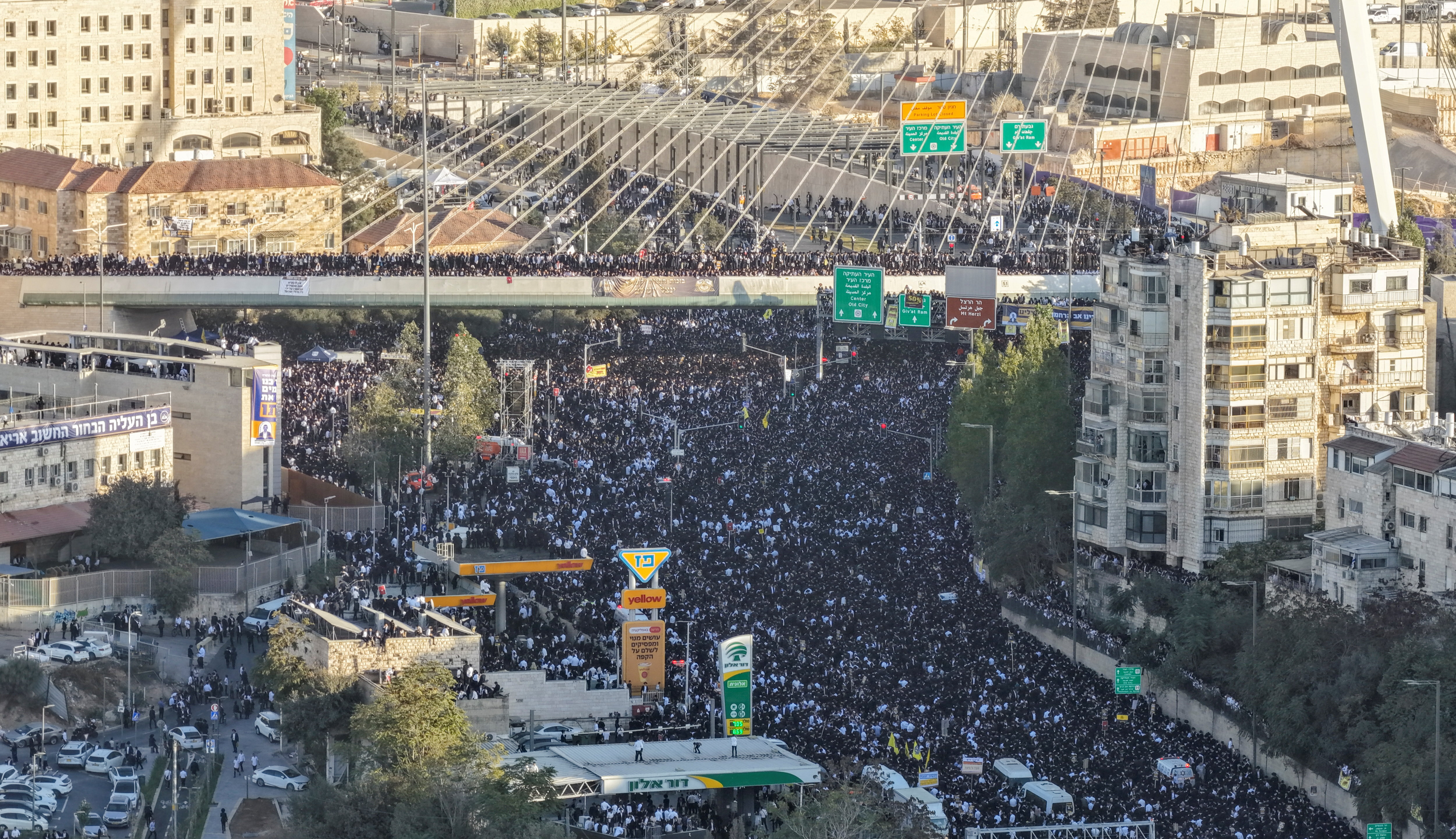 Ultra-Orthodox Jews rally during a "million man" protest against Israeli military conscription [Ilan Rosenberg/Reuters]