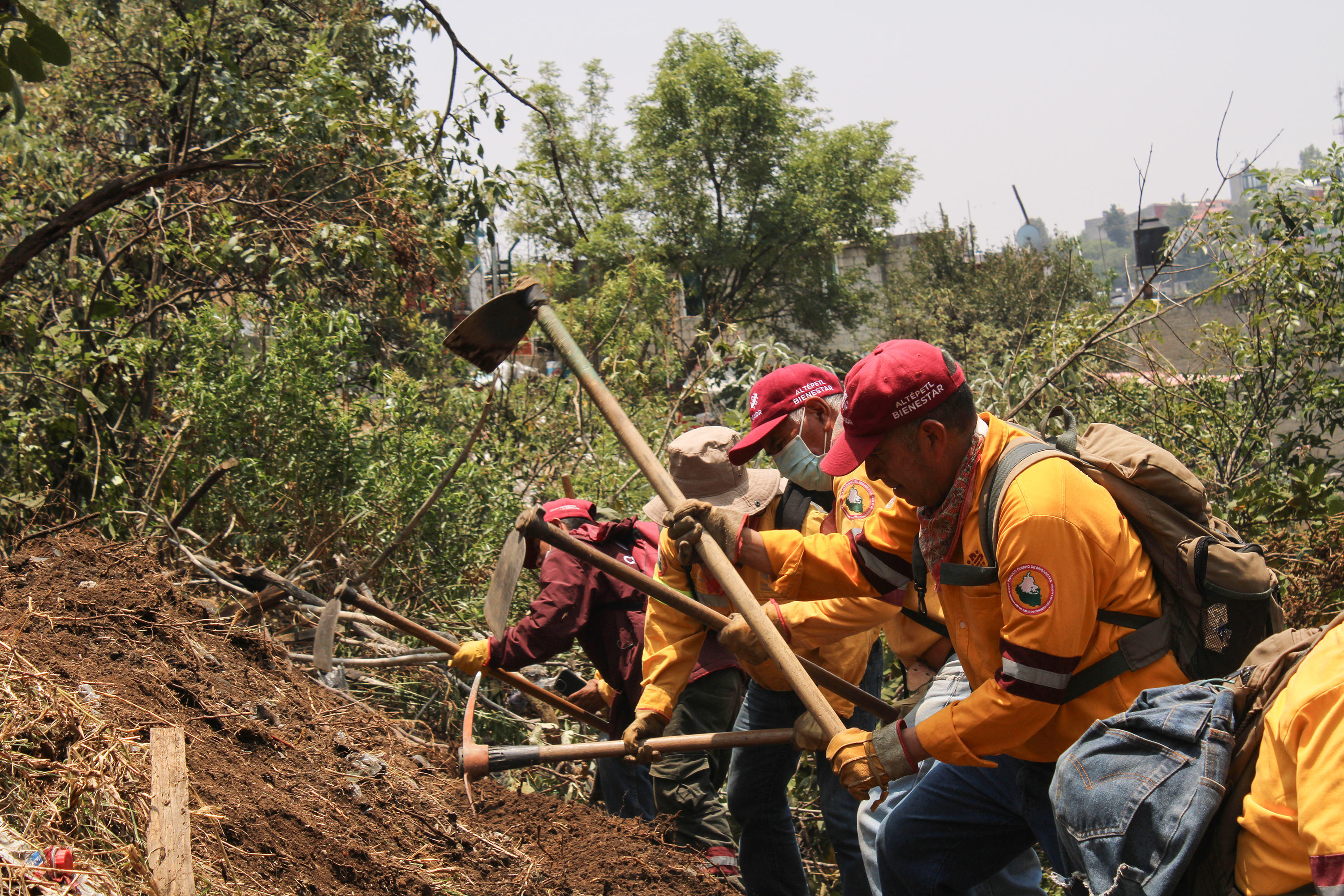 A team of over 20 members from the Mexico City Commission for Natural Resources and Rural Development (CORENADR) digs into the hillside in search of remains.-1761918463 [Mark Viales/Al Jazeera]